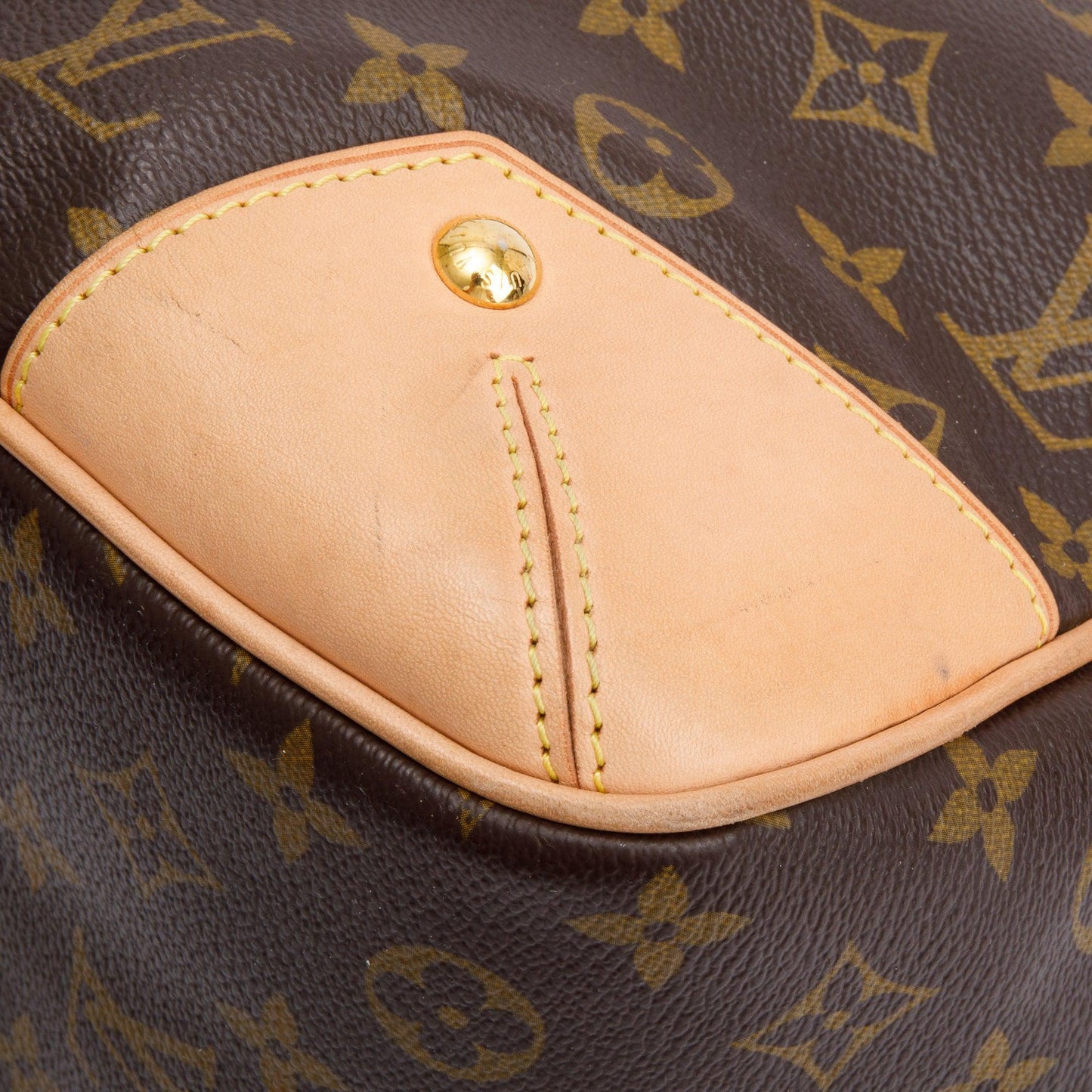 Louis Vuitton Monogram Estrella Tote