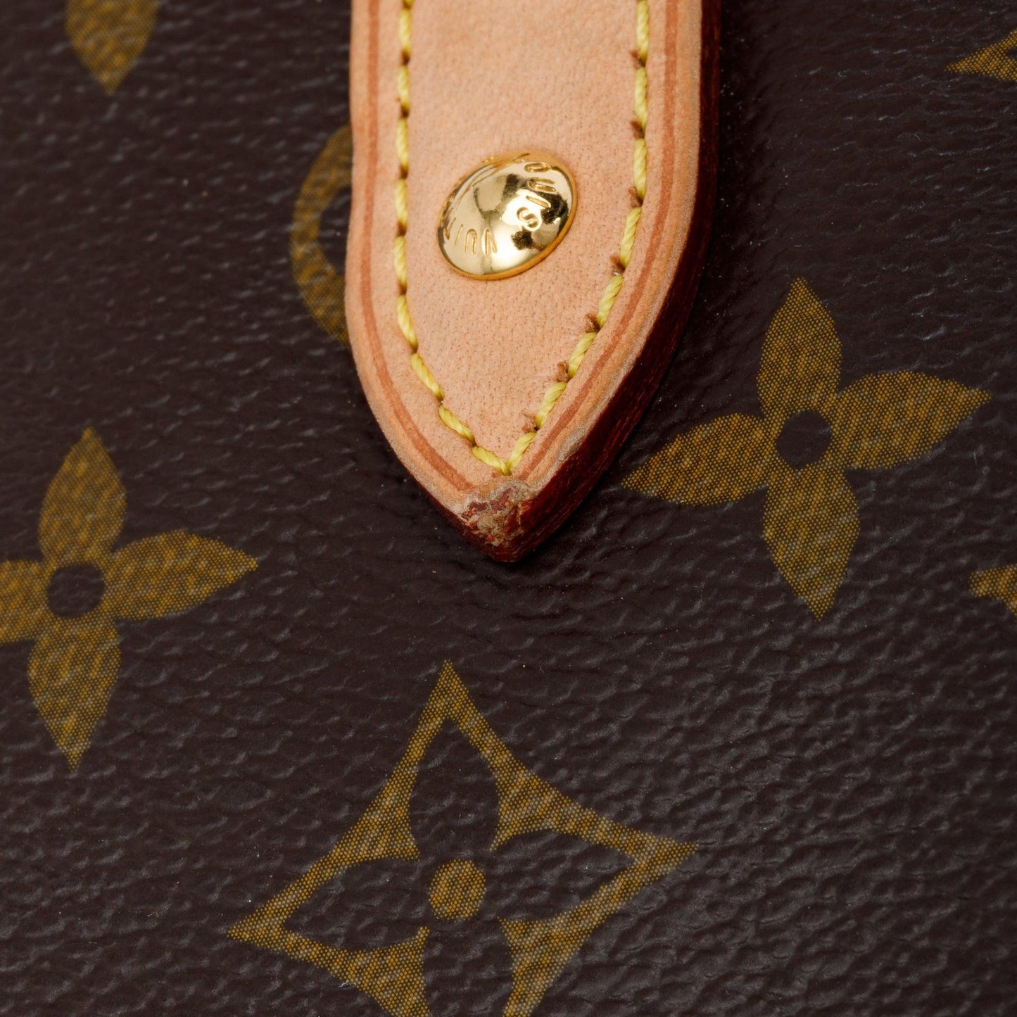 Louis Vuitton Monogram Estrella Tote
