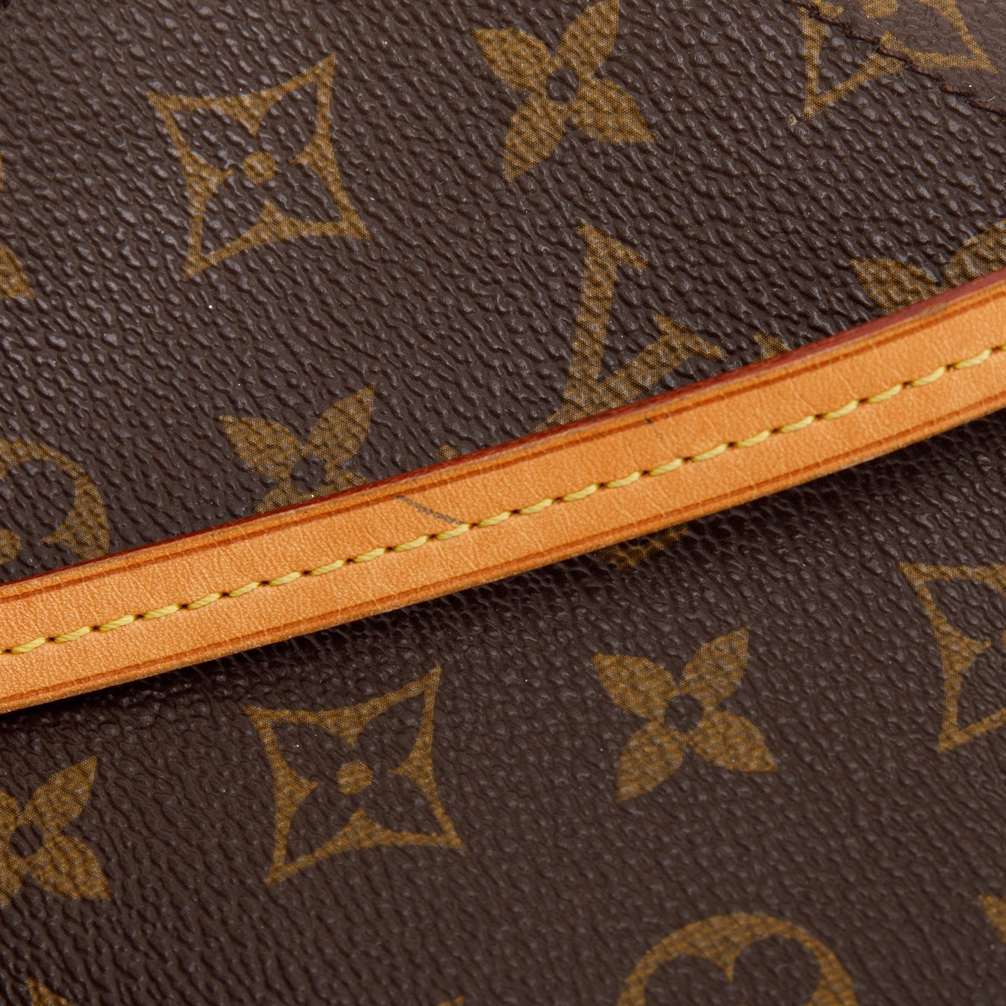 Louis Vuitton Monogram Favorite PM with Strap