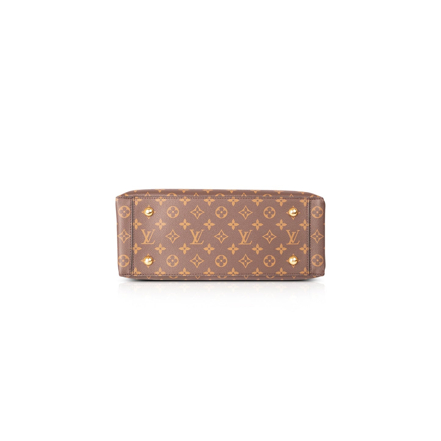 Louis Vuitton Monogram Flower Tote