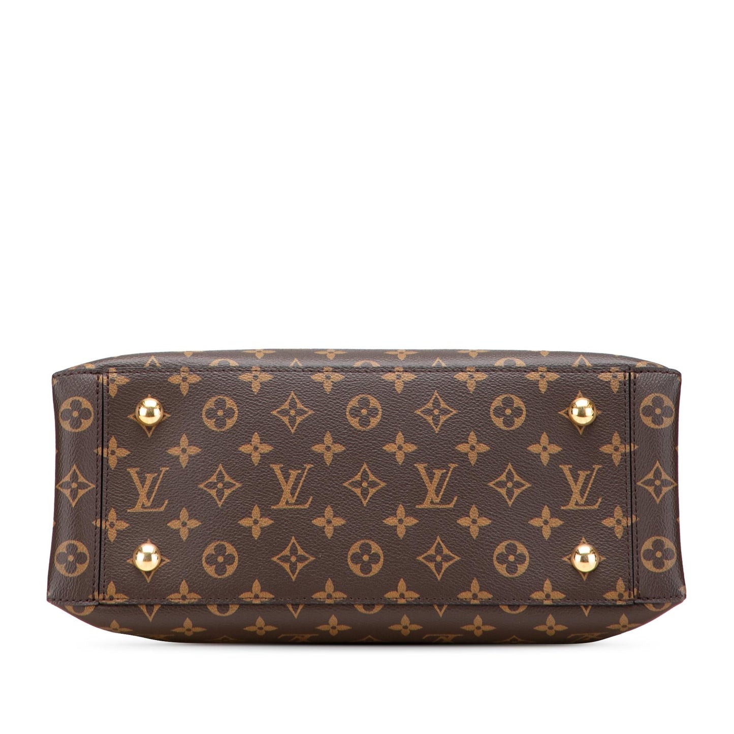 Louis Vuitton Monogram Flower Tote