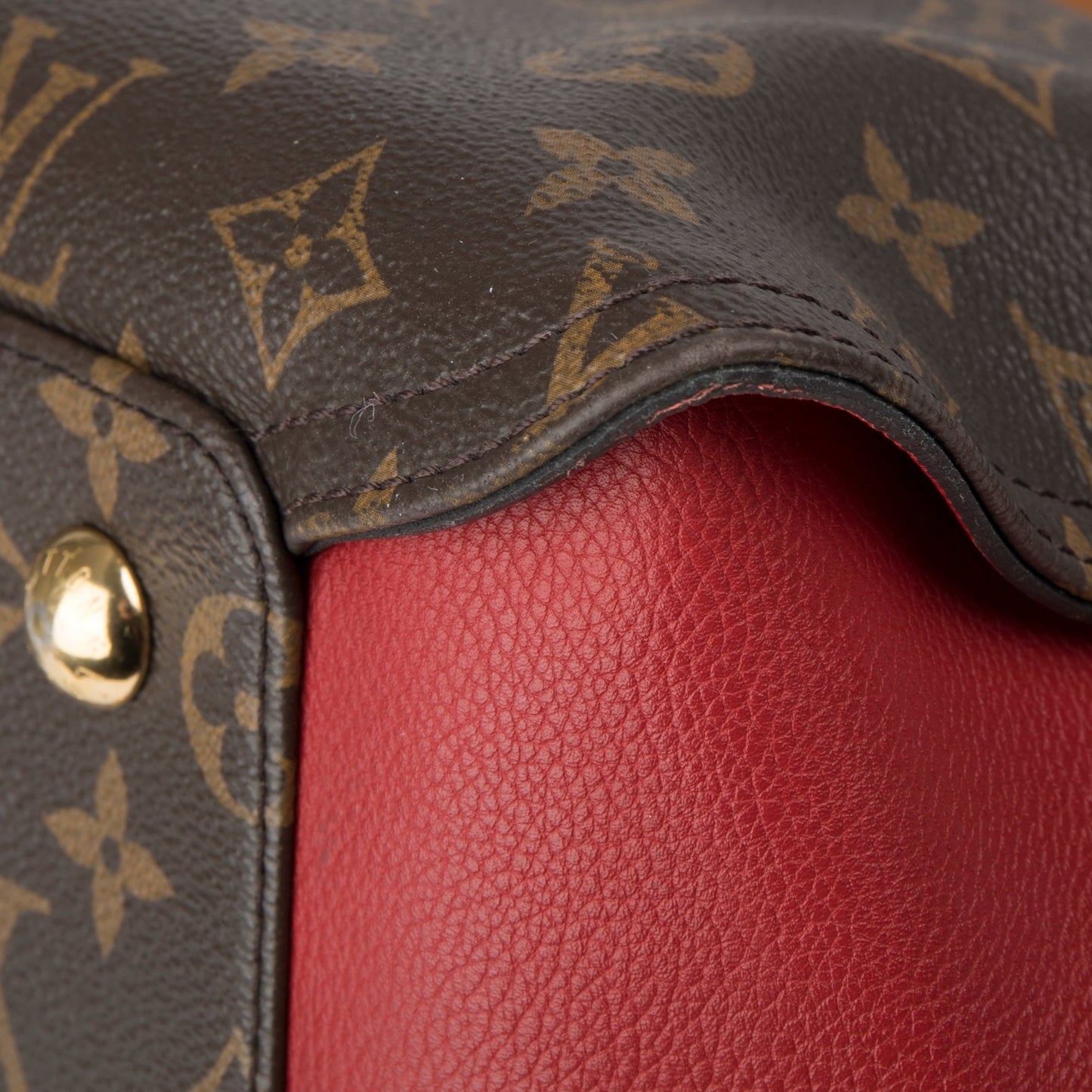 Louis Vuitton Monogram Gaia Hobo
