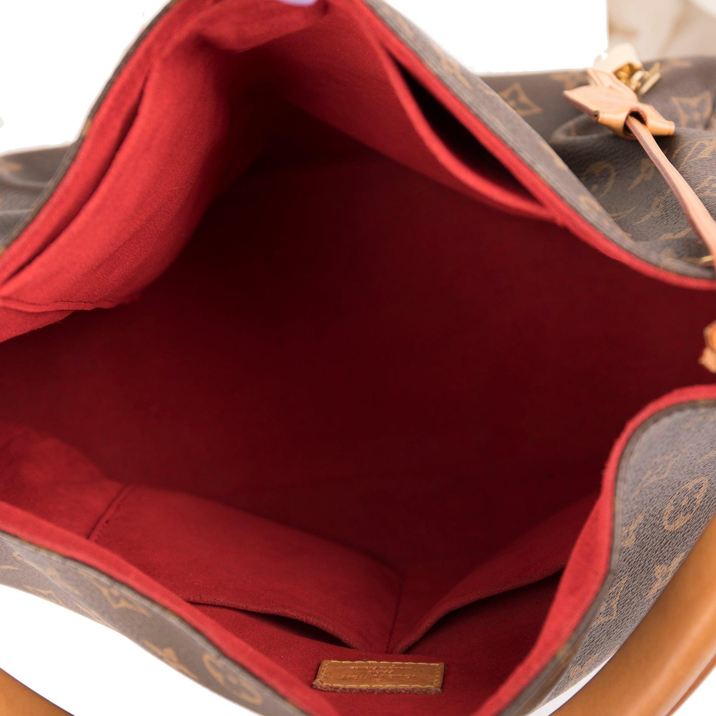 Louis Vuitton Monogram Gaia Hobo