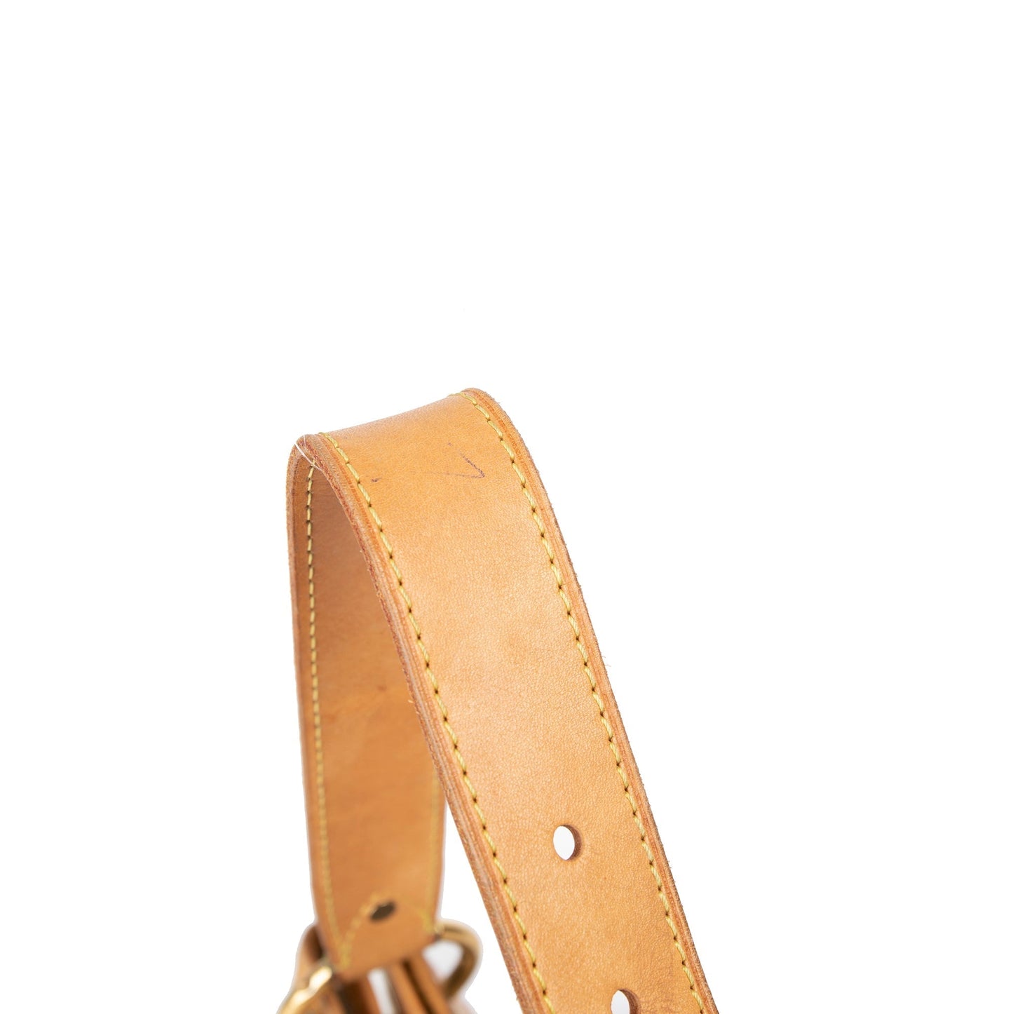 Louis Vuitton Monogram Galleria PM