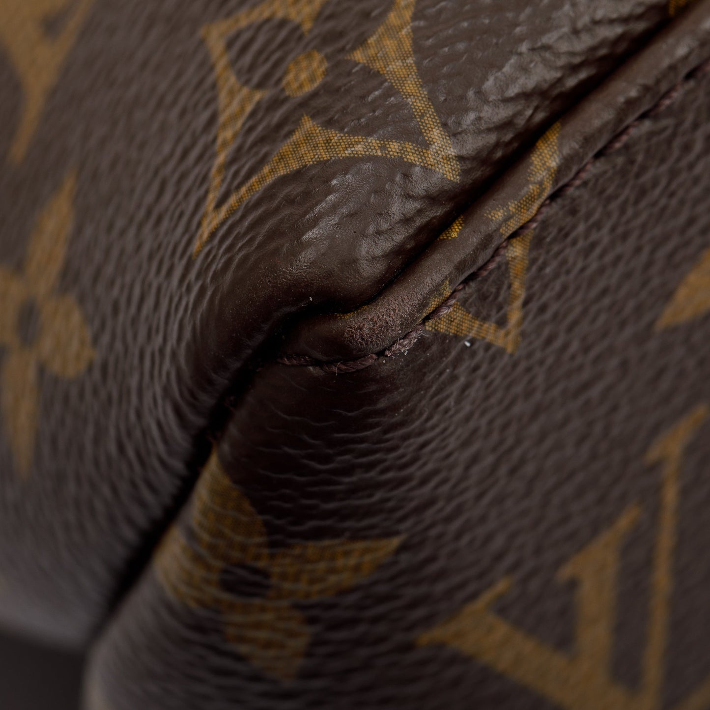 Louis Vuitton Monogram Grand Palais