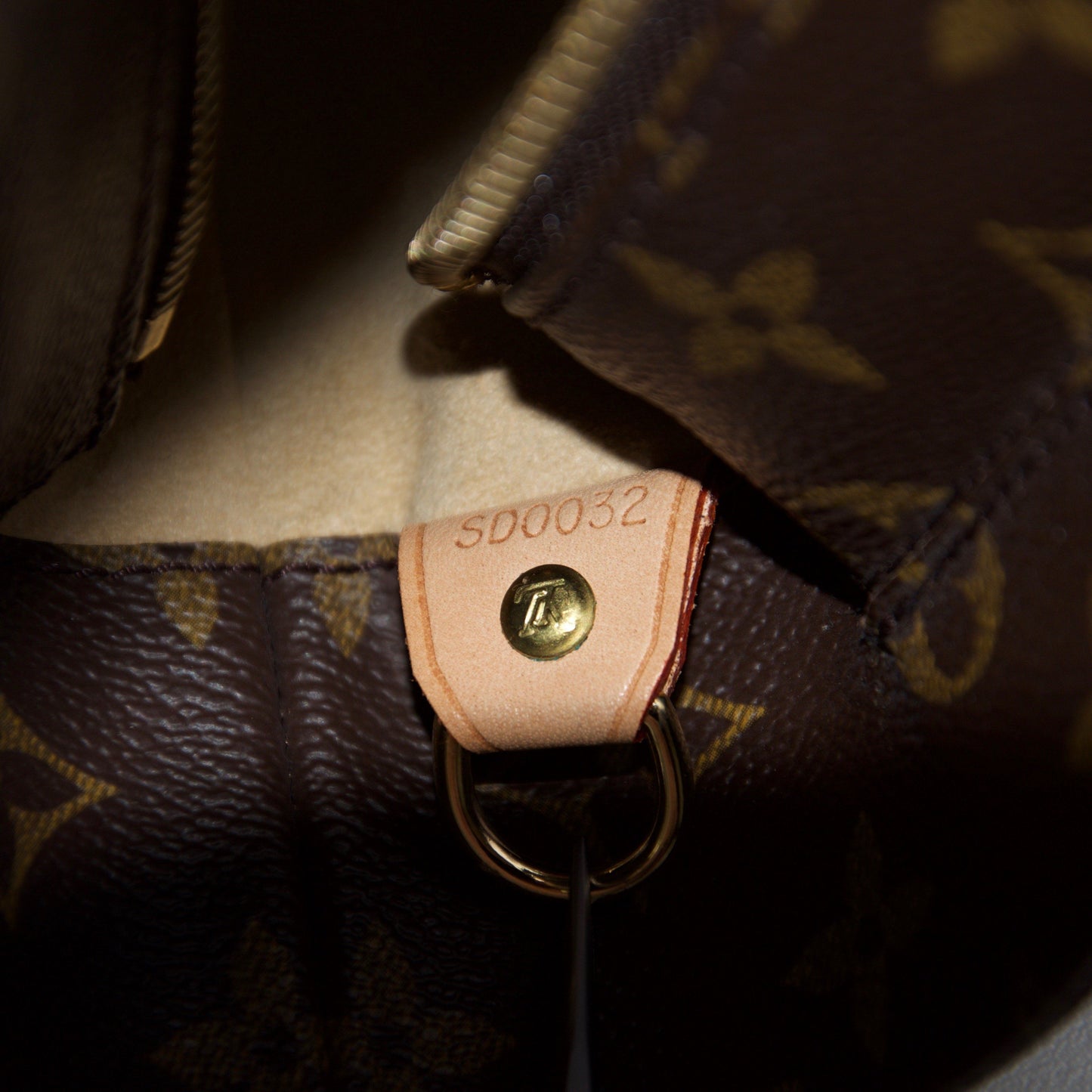Louis Vuitton Monogram Luco Tote
