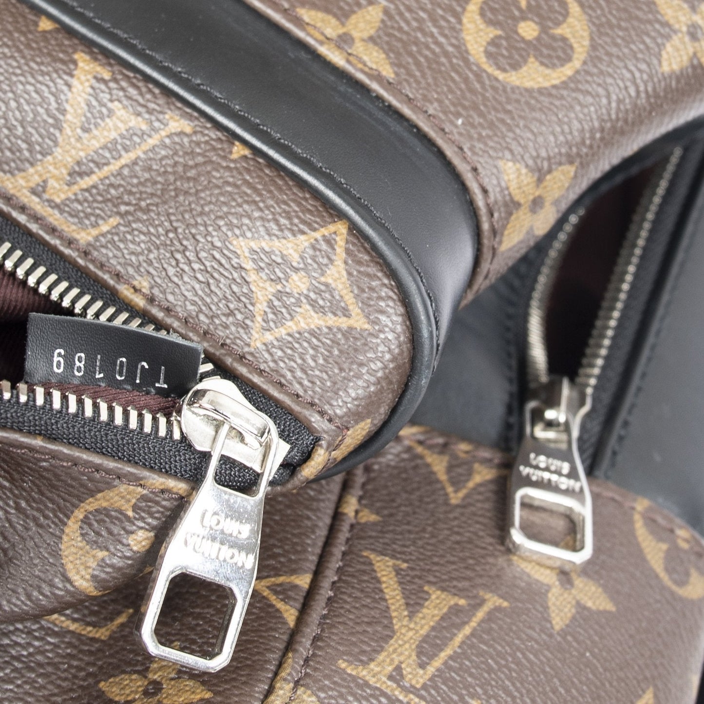 Louis Vuitton Monogram Macassar Josh Backpack