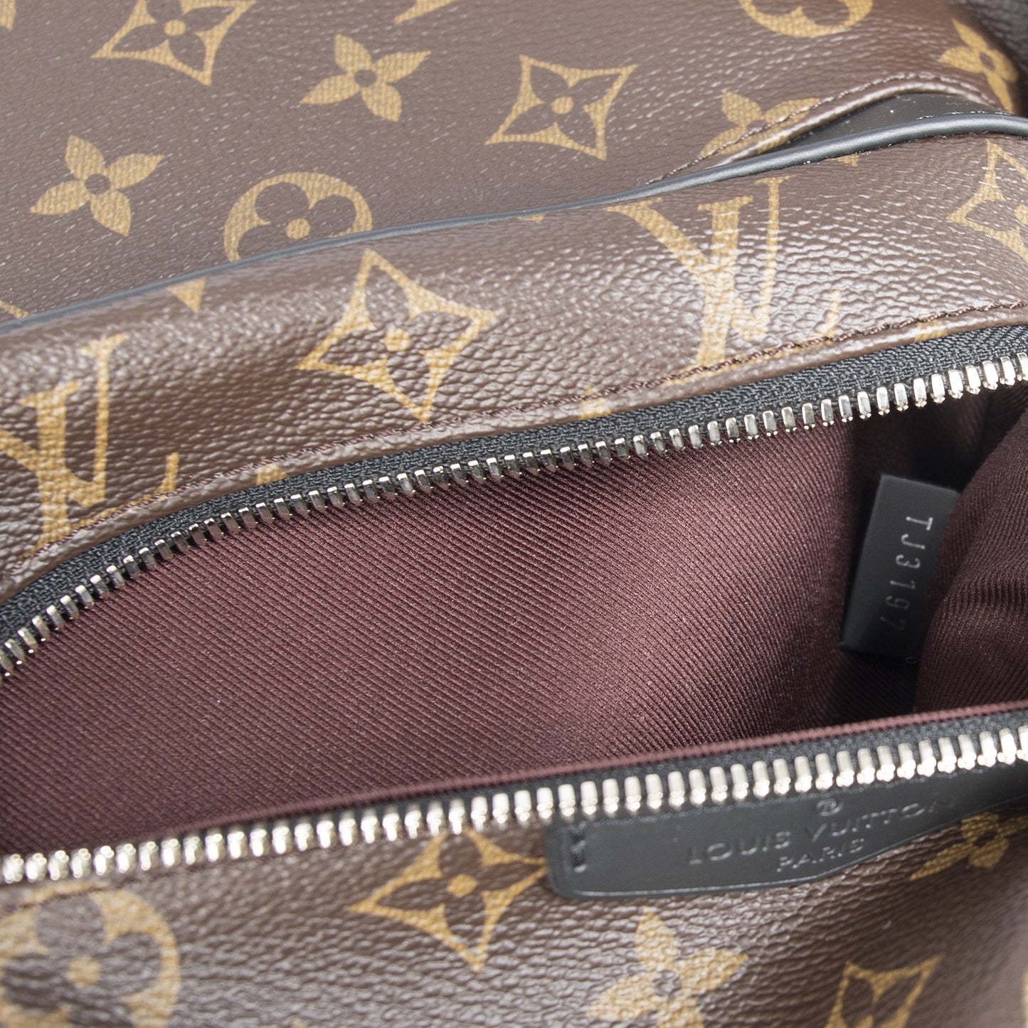 Louis Vuitton Monogram Macassar Josh Backpack