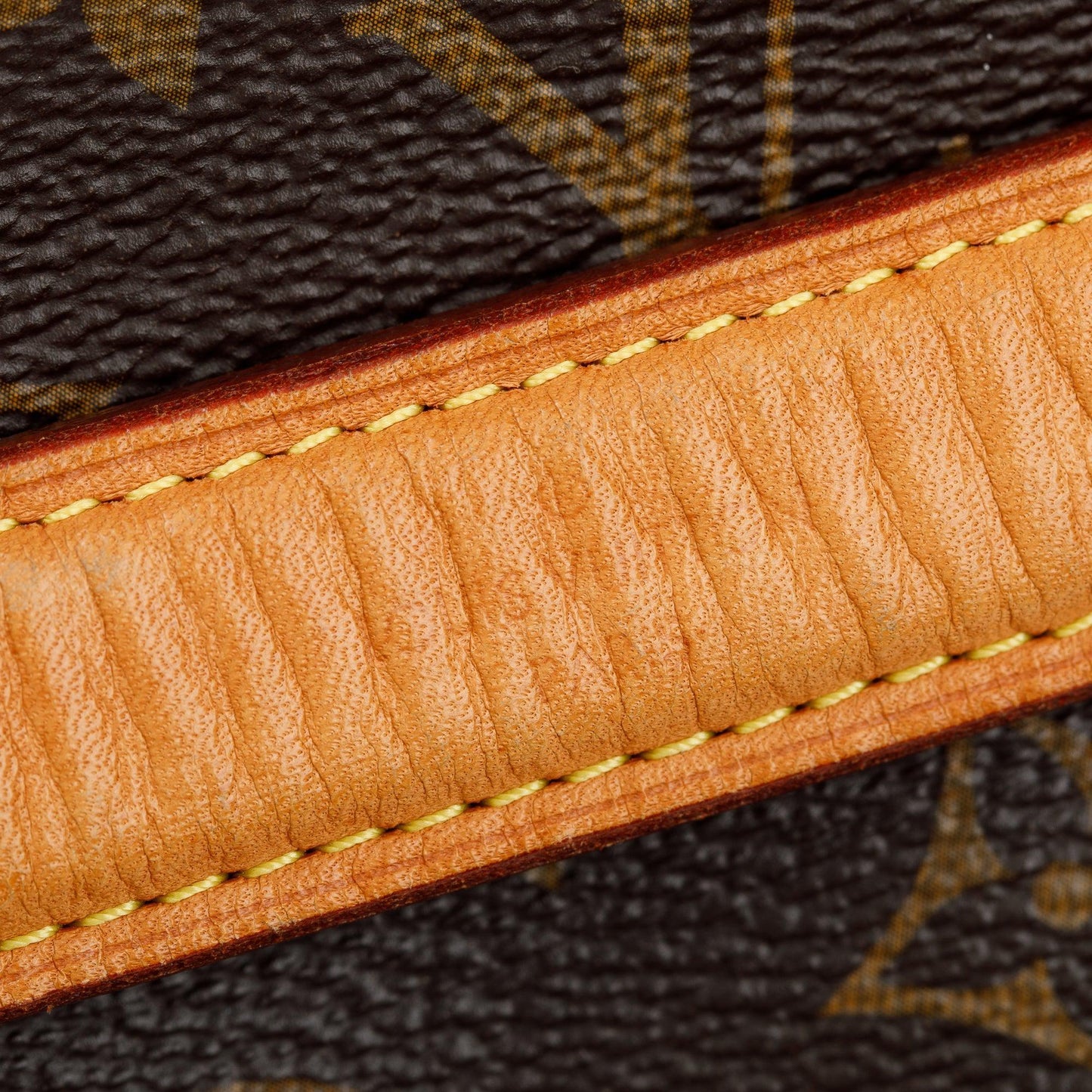 Louis Vuitton Monogram Melie Bag