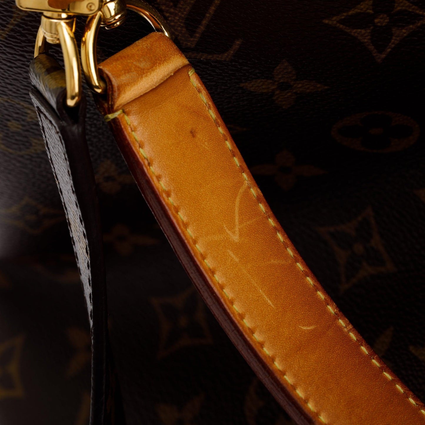 Louis Vuitton Monogram Metis Hobo