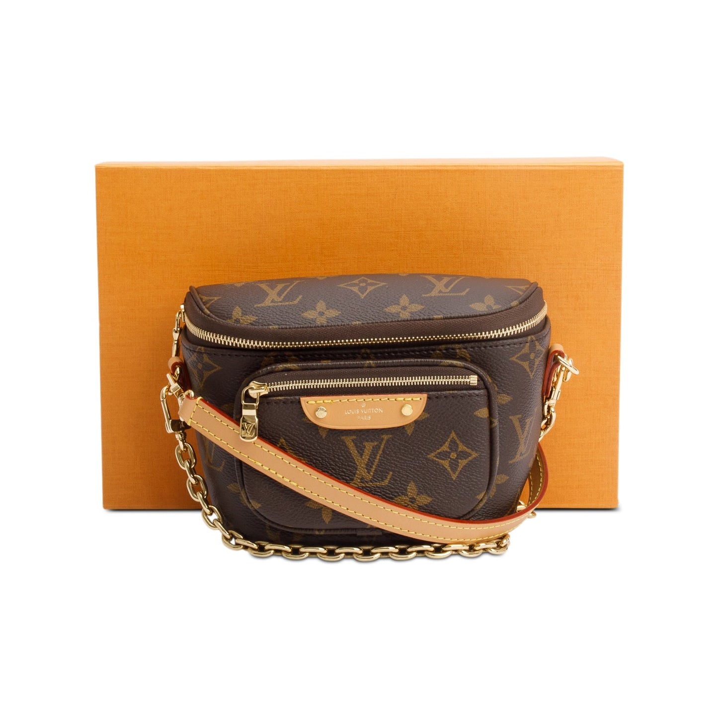 Louis Vuitton Monogram Mini Bumbag