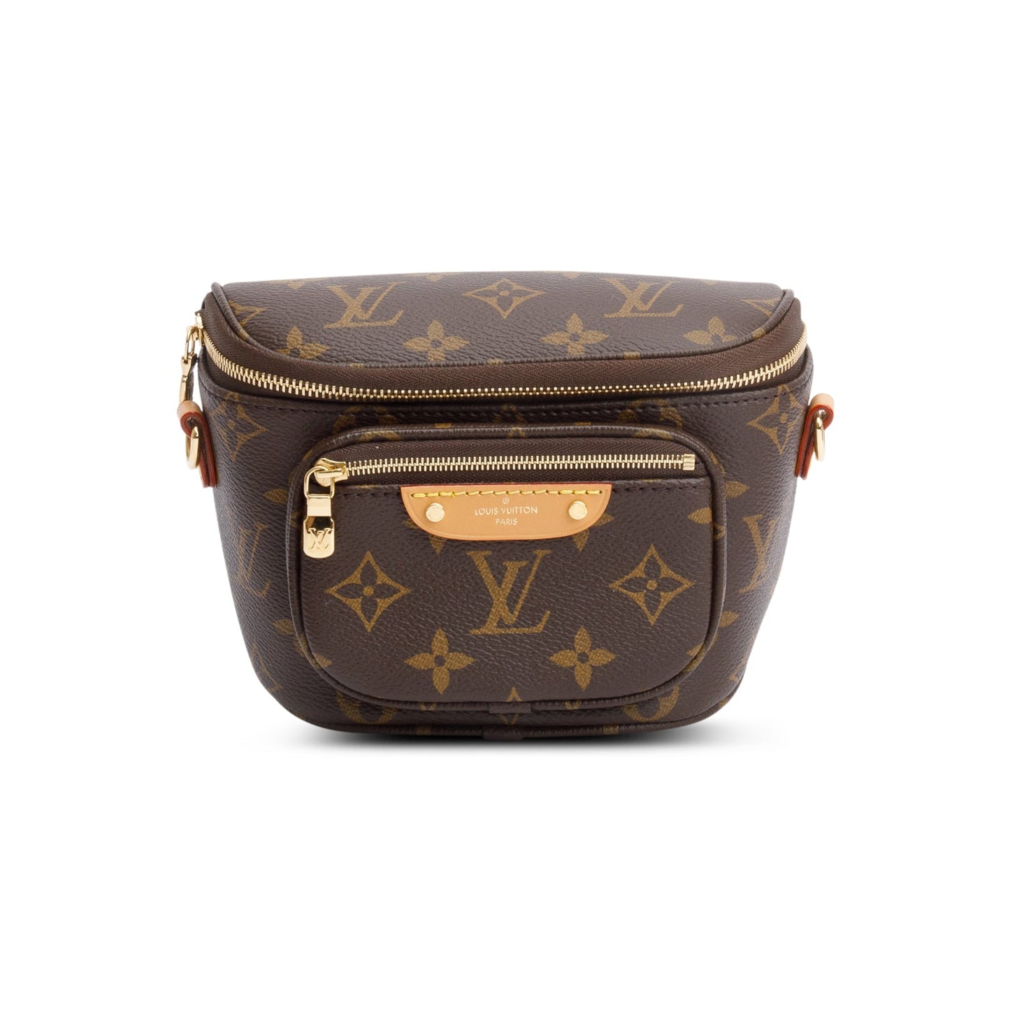 Louis Vuitton Monogram Mini Bumbag