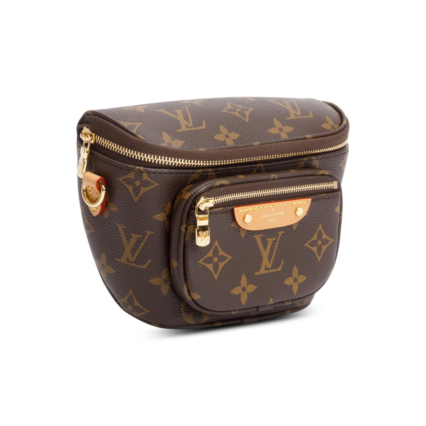 Louis Vuitton Monogram Mini Bumbag