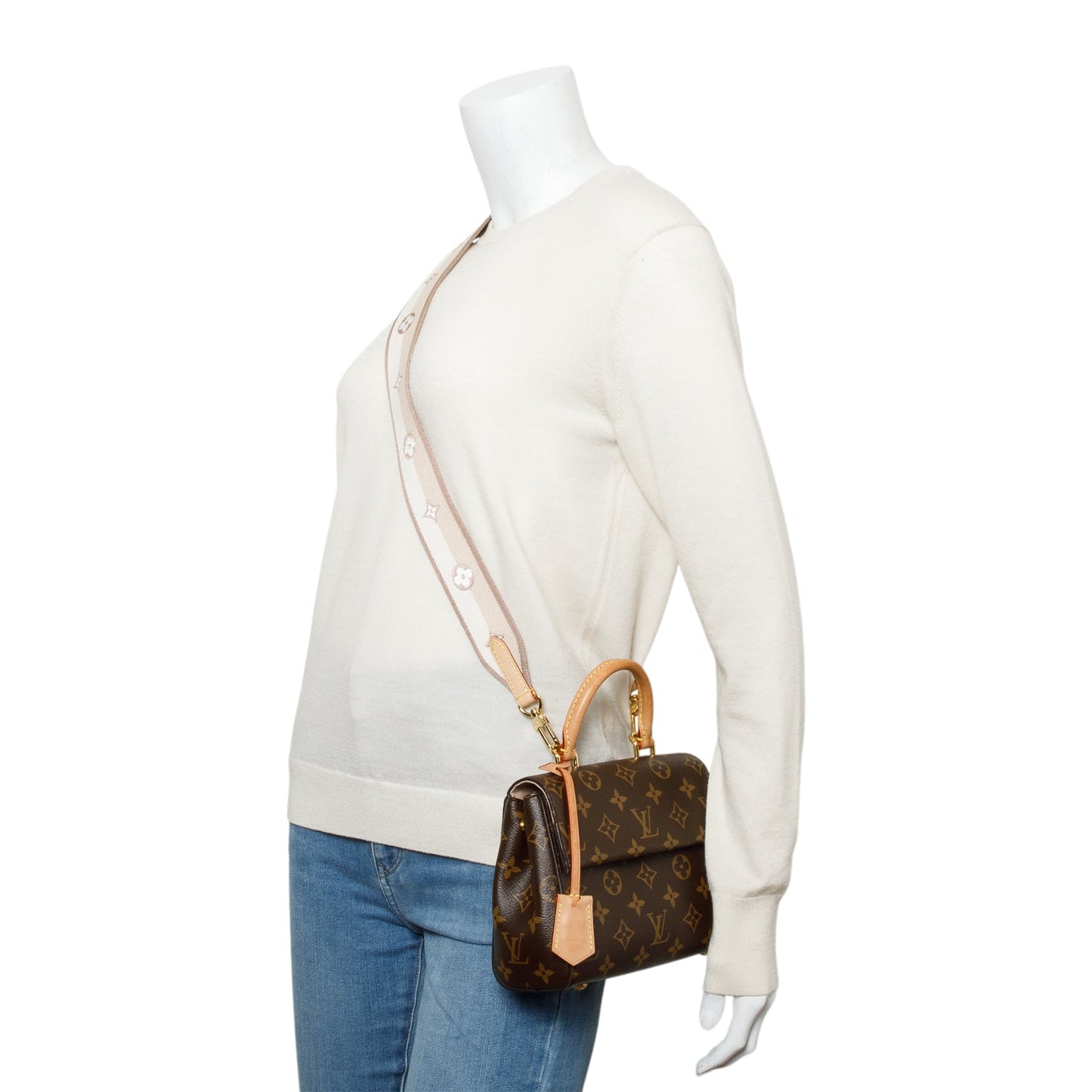 Louis Vuitton Monogram Mini Cluny