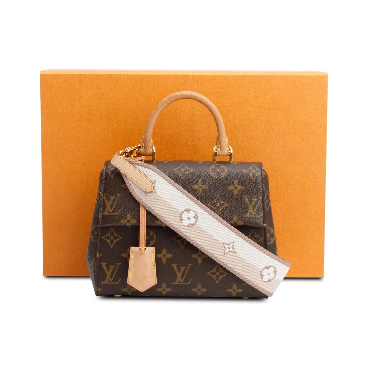 Louis Vuitton Monogram Mini Cluny