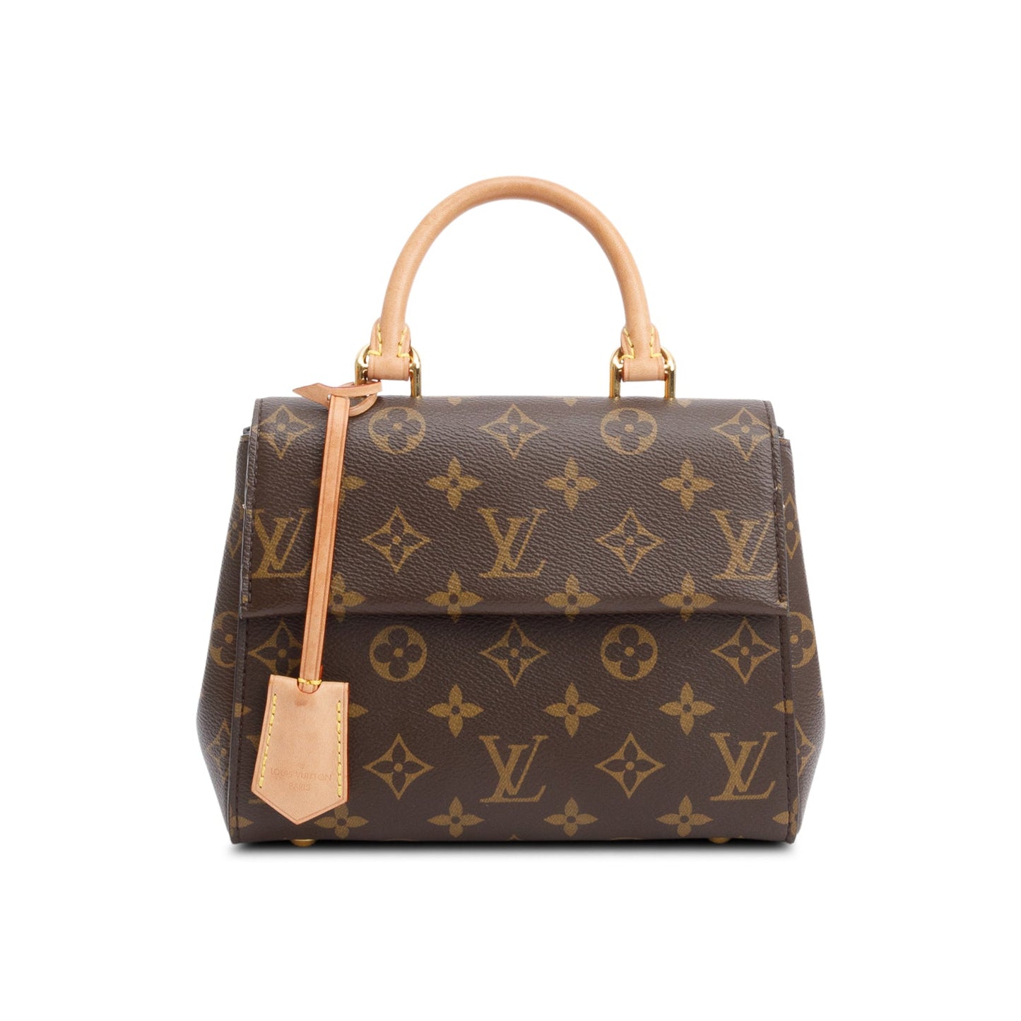 Louis Vuitton Monogram Mini Cluny
