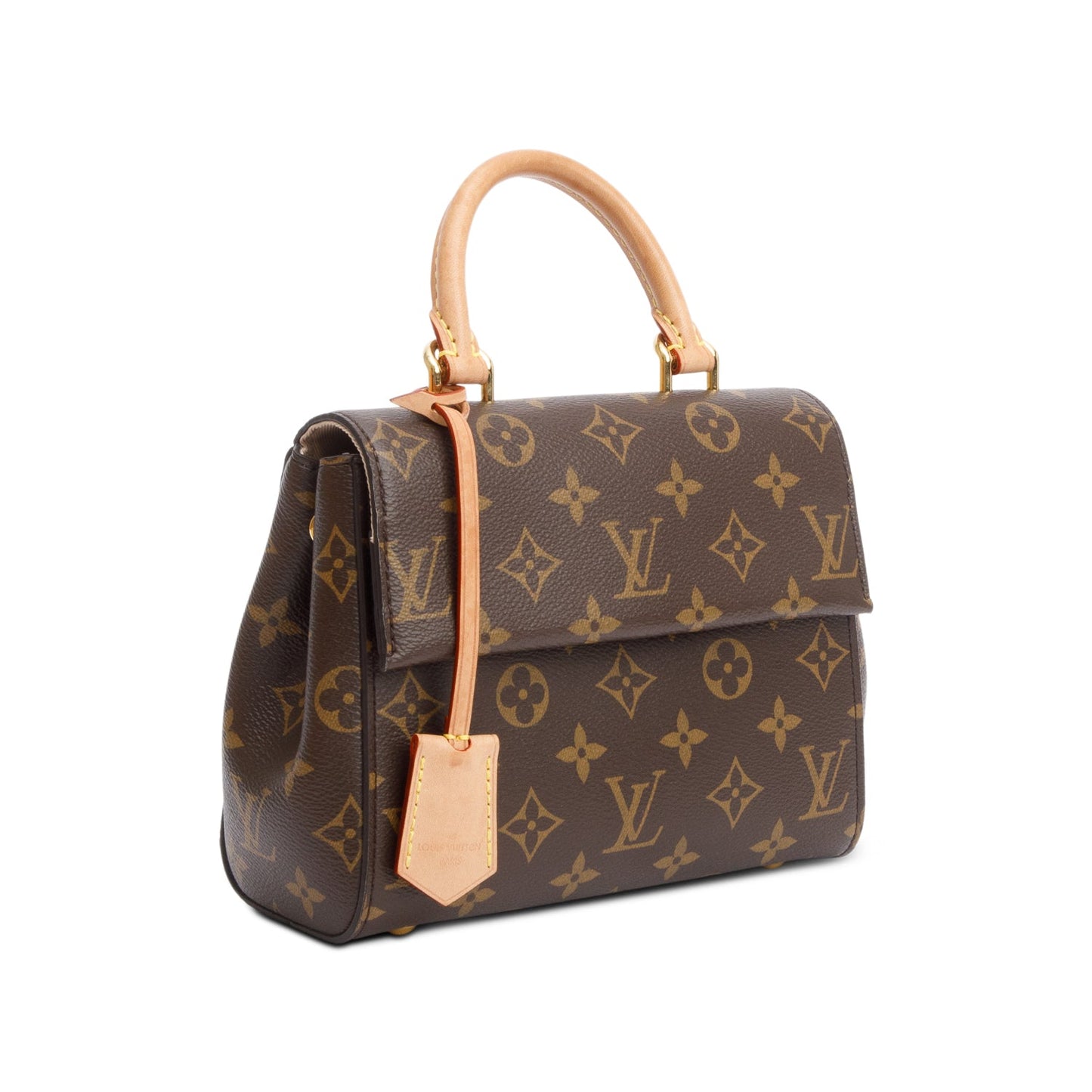 Louis Vuitton Monogram Mini Cluny