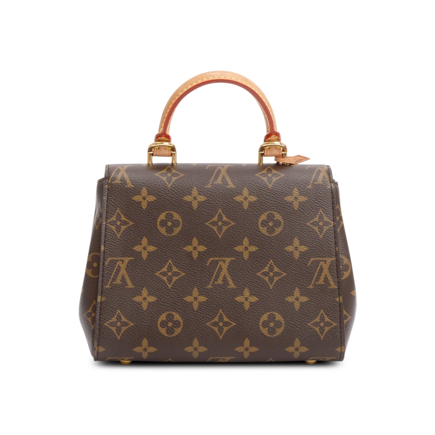 Louis Vuitton Monogram Mini Cluny