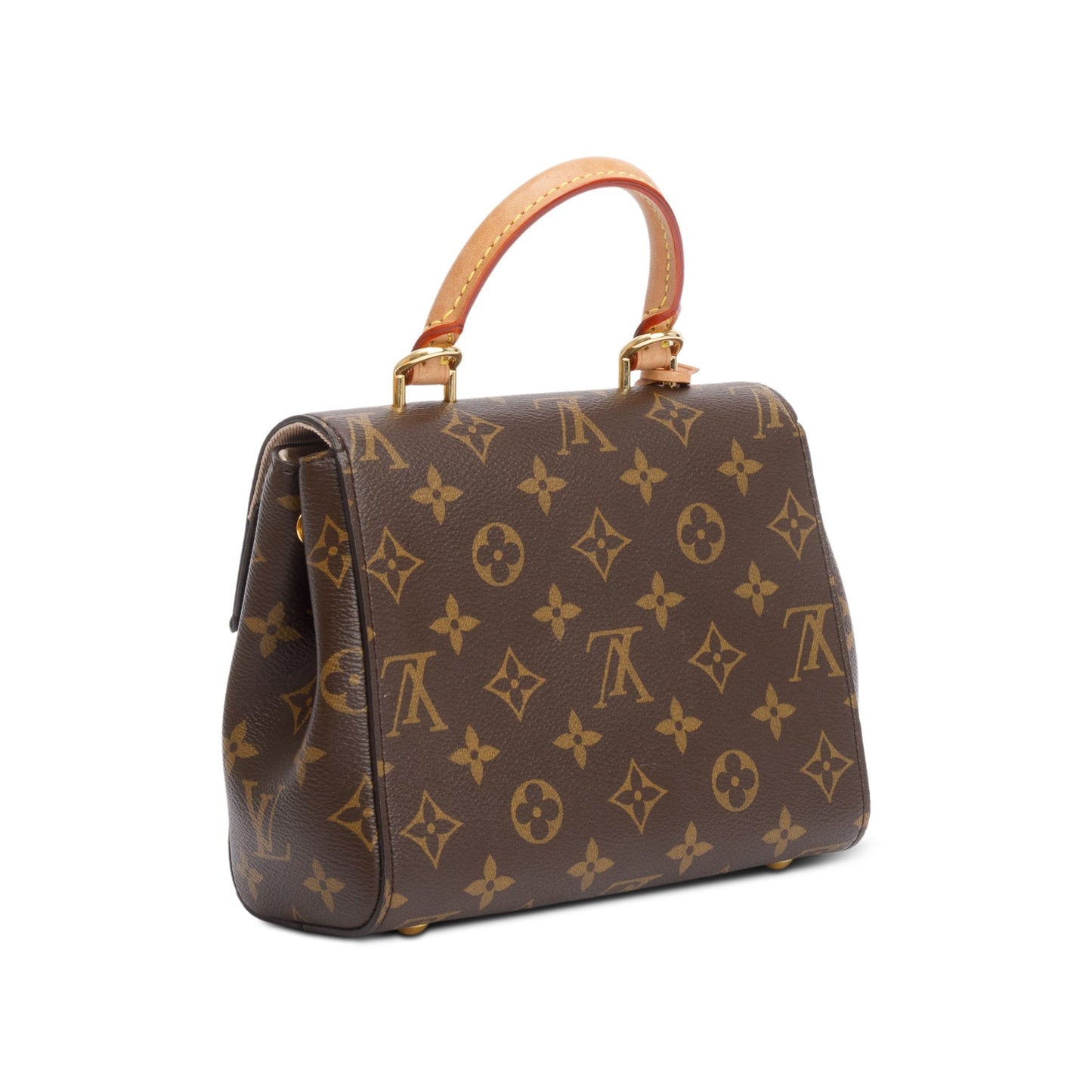 Louis Vuitton Monogram Mini Cluny