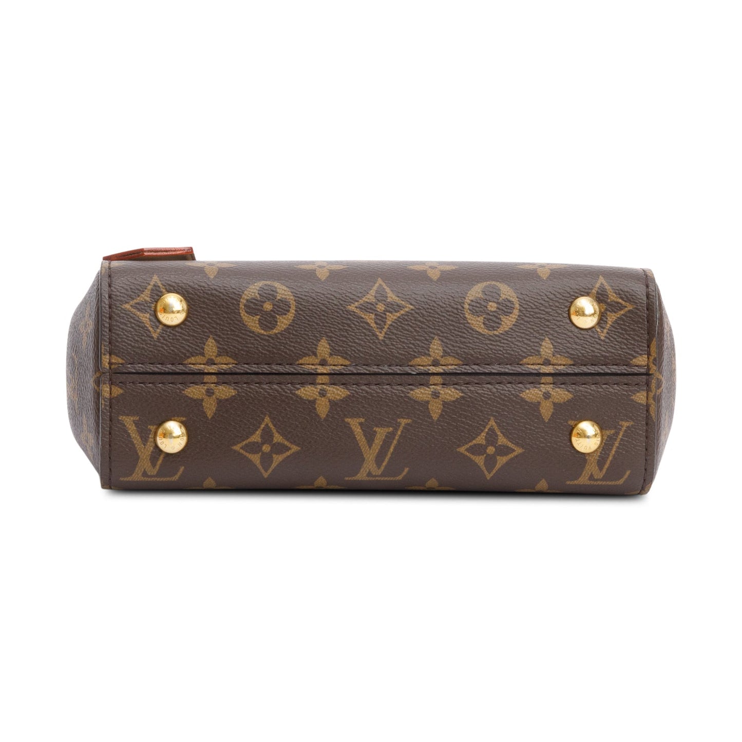 Louis Vuitton Monogram Mini Cluny
