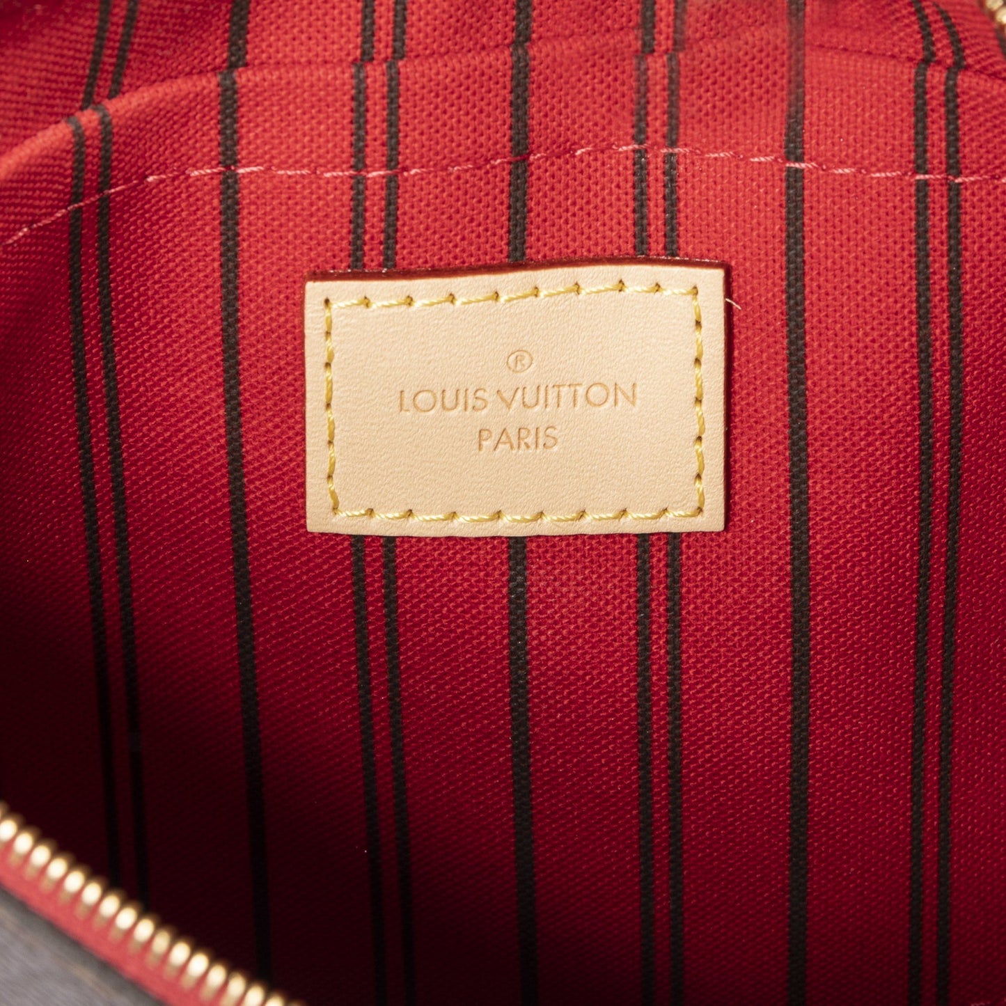 Louis Vuitton Monogram Neverfull Pochette