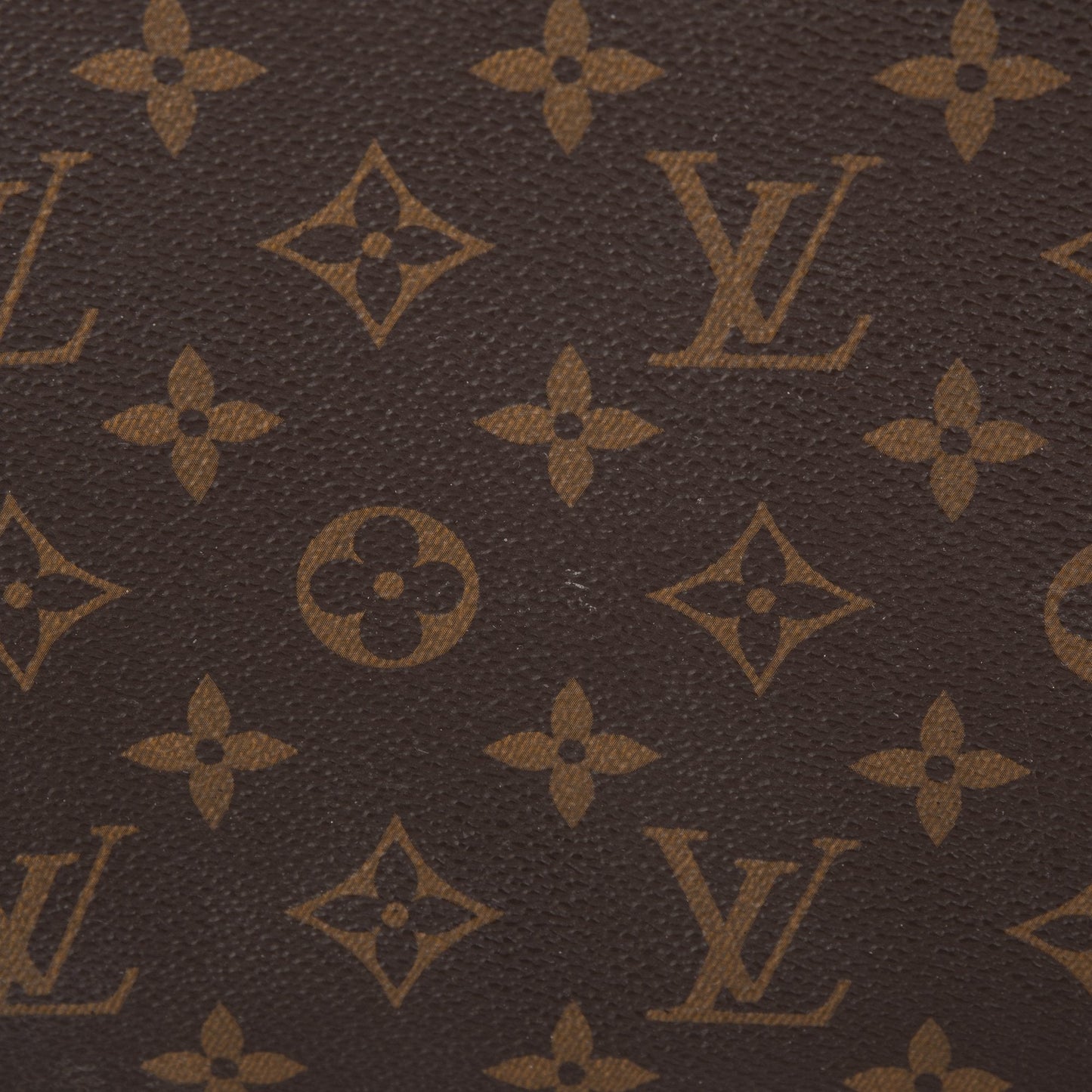 Louis Vuitton Monogram Neverfull Pochette