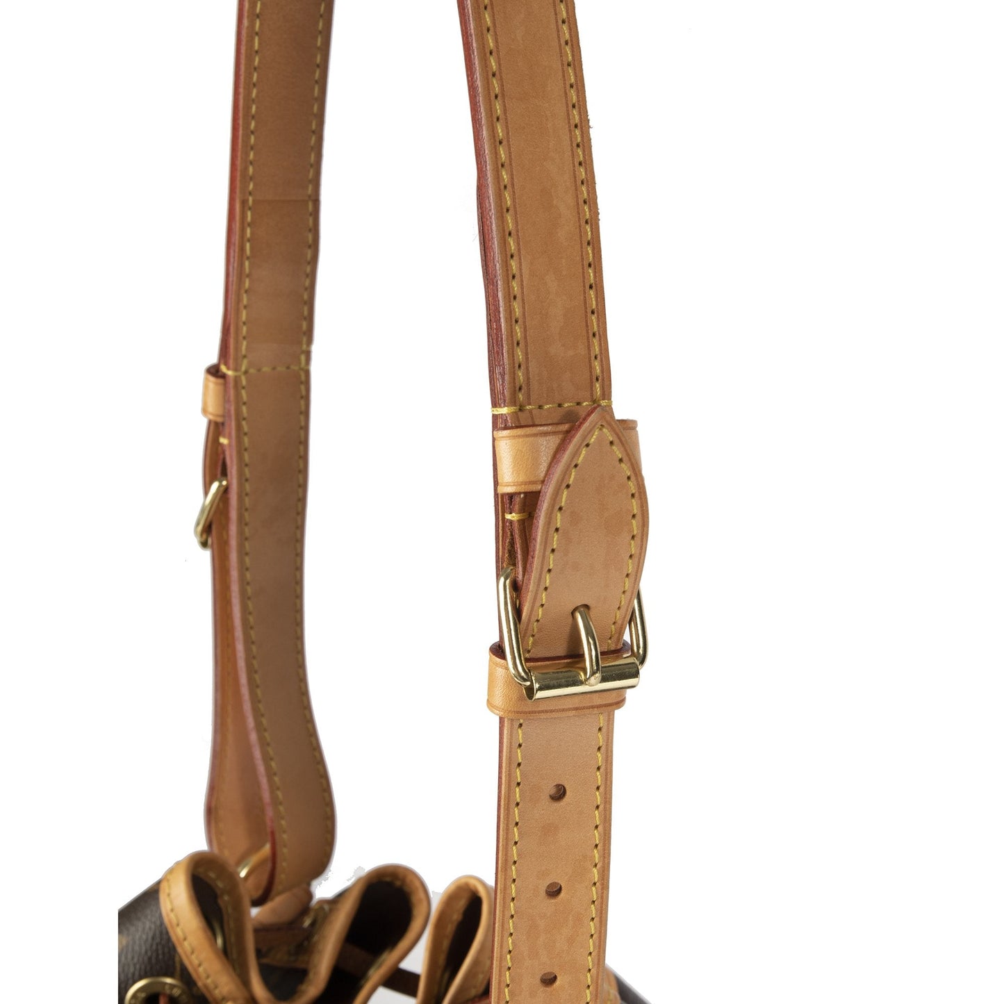 Louis Vuitton Monogram Noe Bag