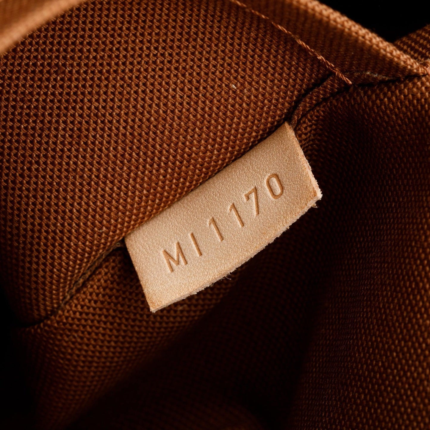 Louis Vuitton Monogram Palermo GM