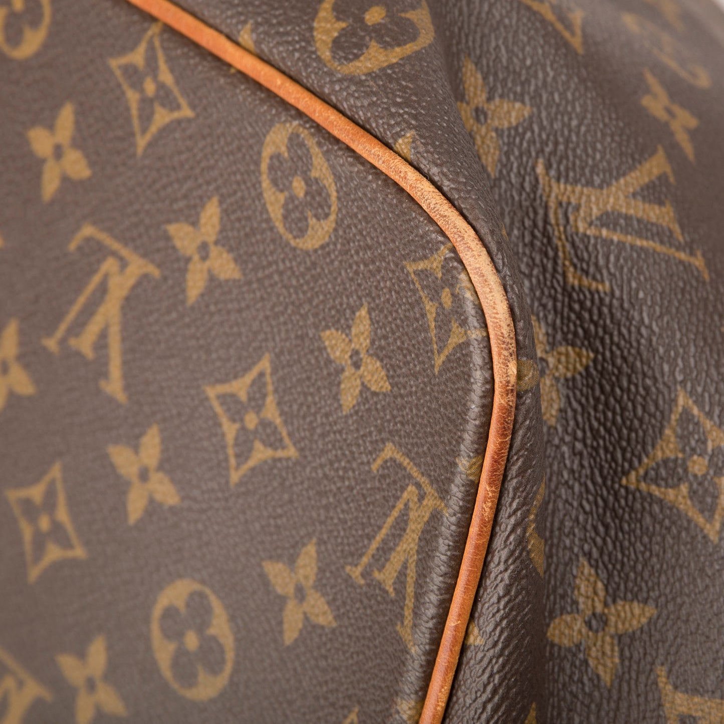Louis Vuitton Monogram Palermo GM
