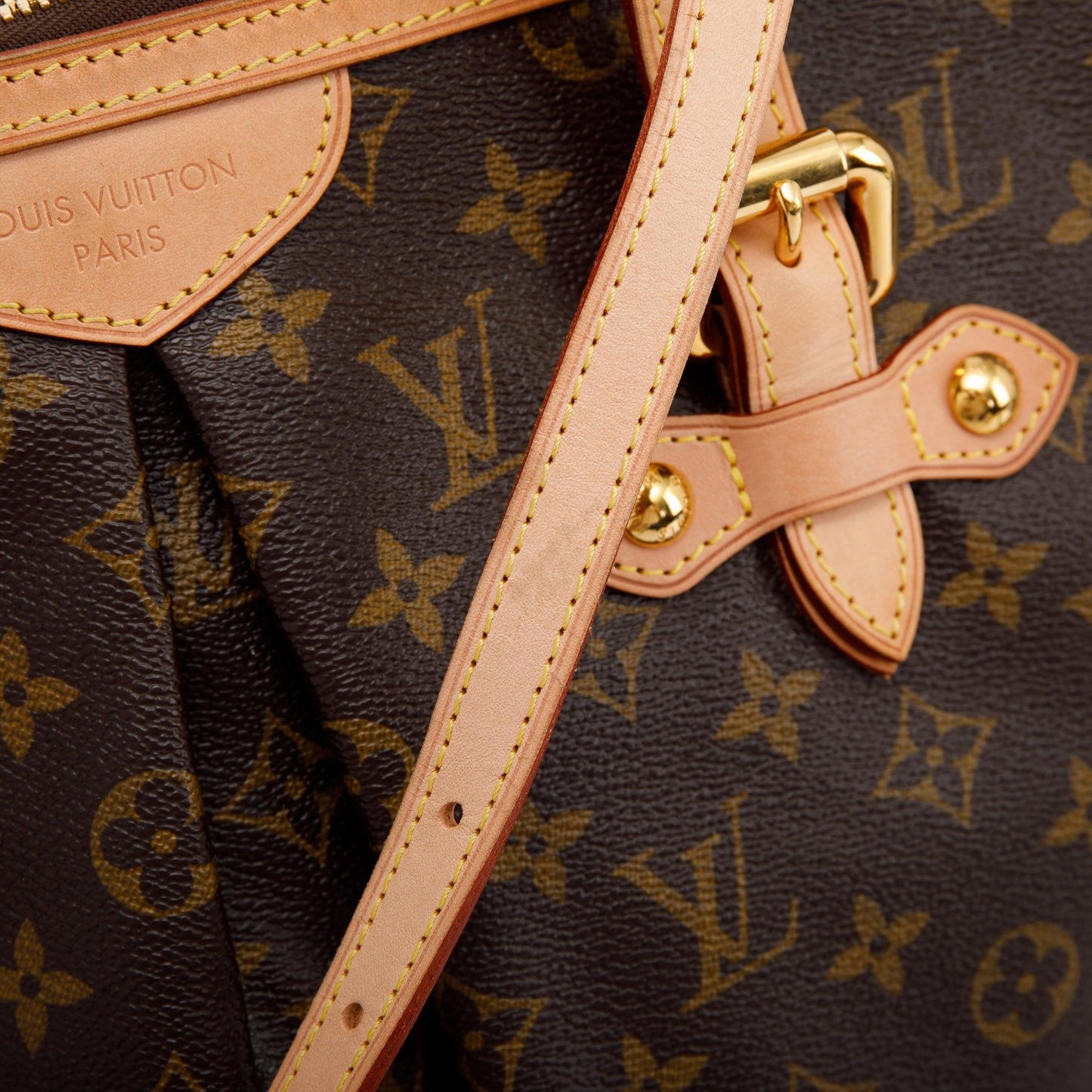 Louis Vuitton Monogram Palermo GM