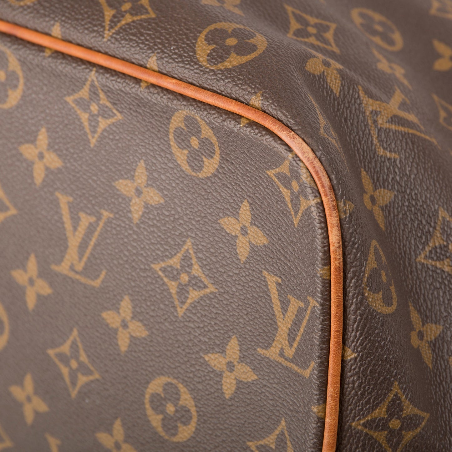 Louis Vuitton Monogram Palermo GM