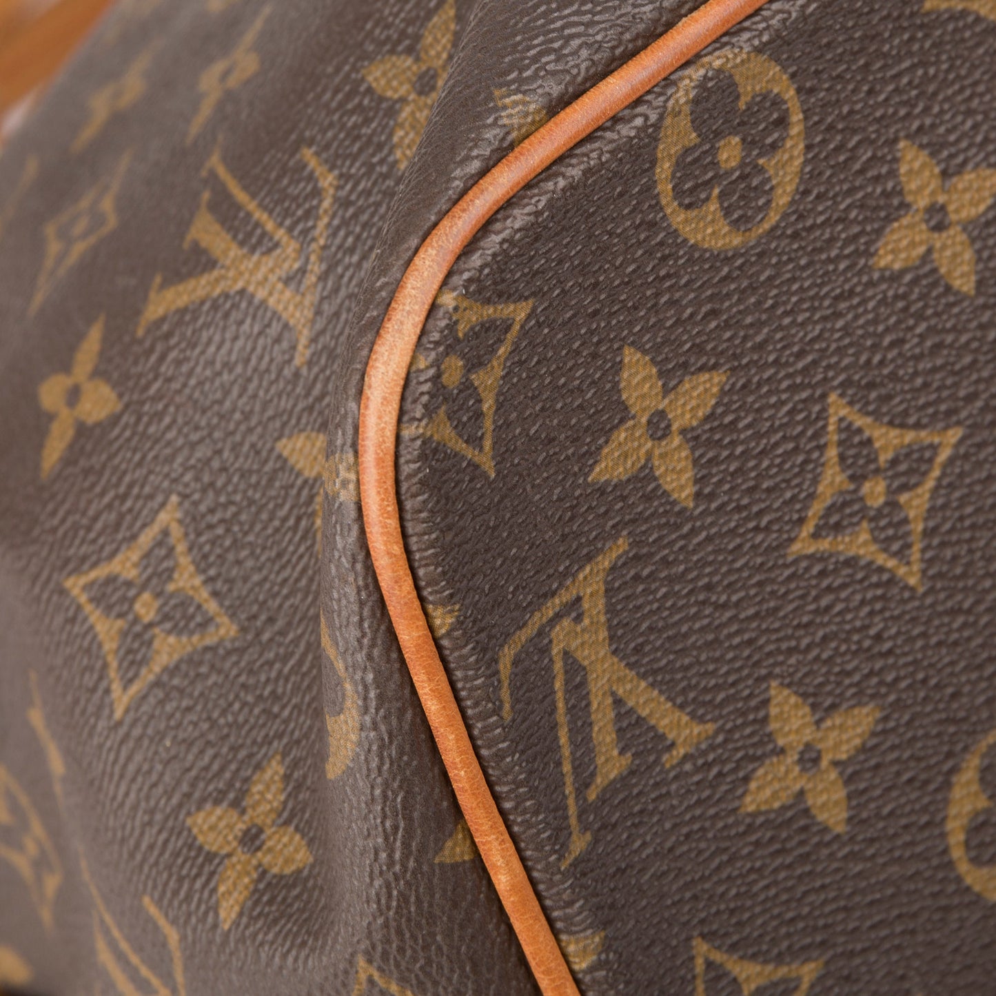 Louis Vuitton Monogram Palermo GM