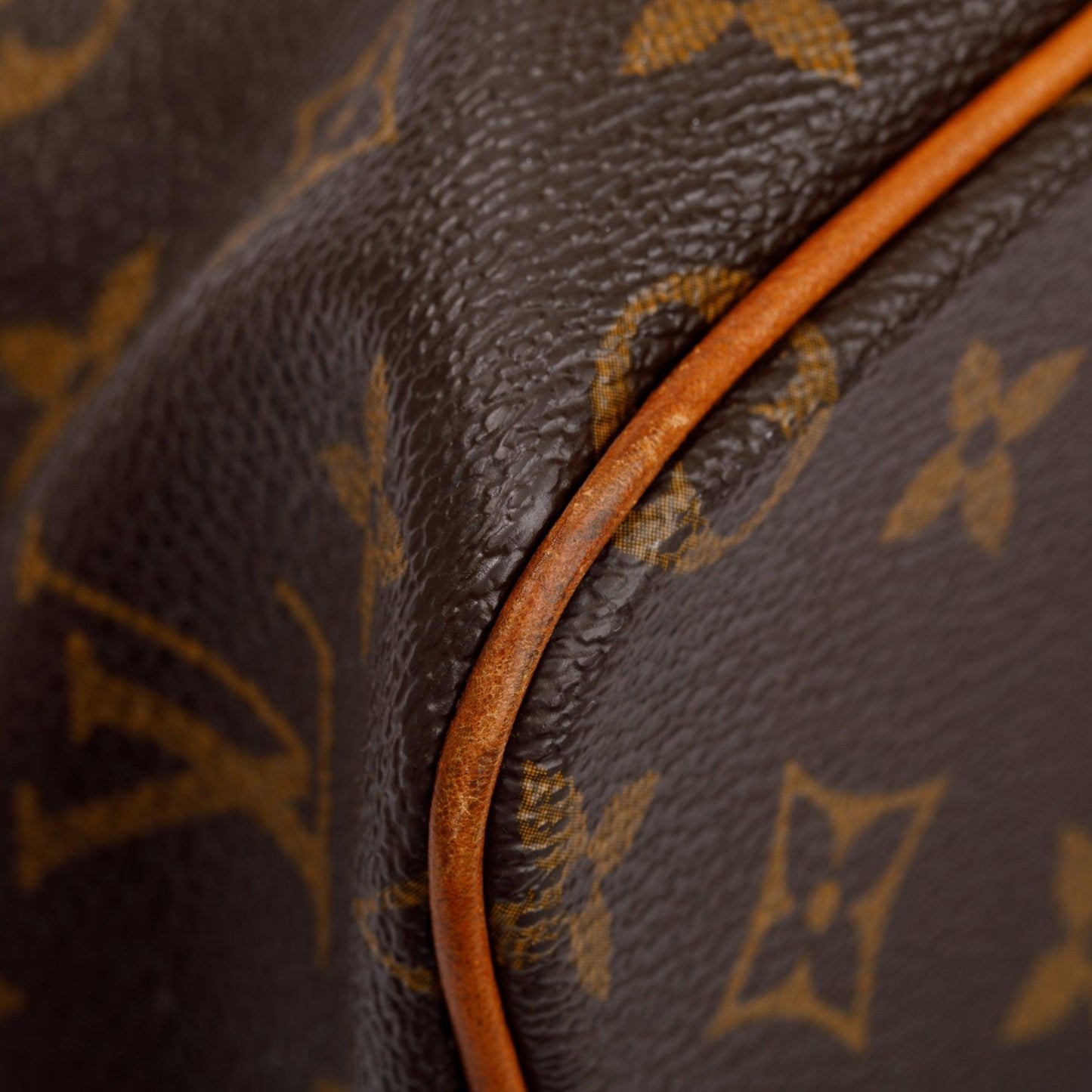 Louis Vuitton Monogram Palermo PM