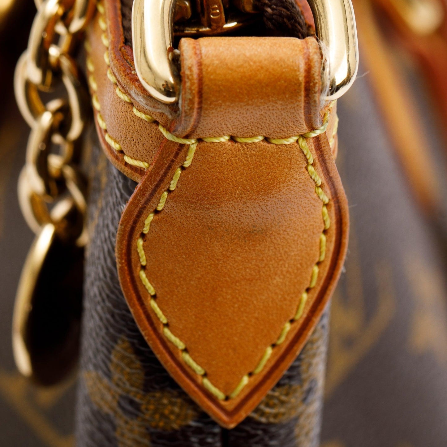 Louis Vuitton Monogram Palermo PM