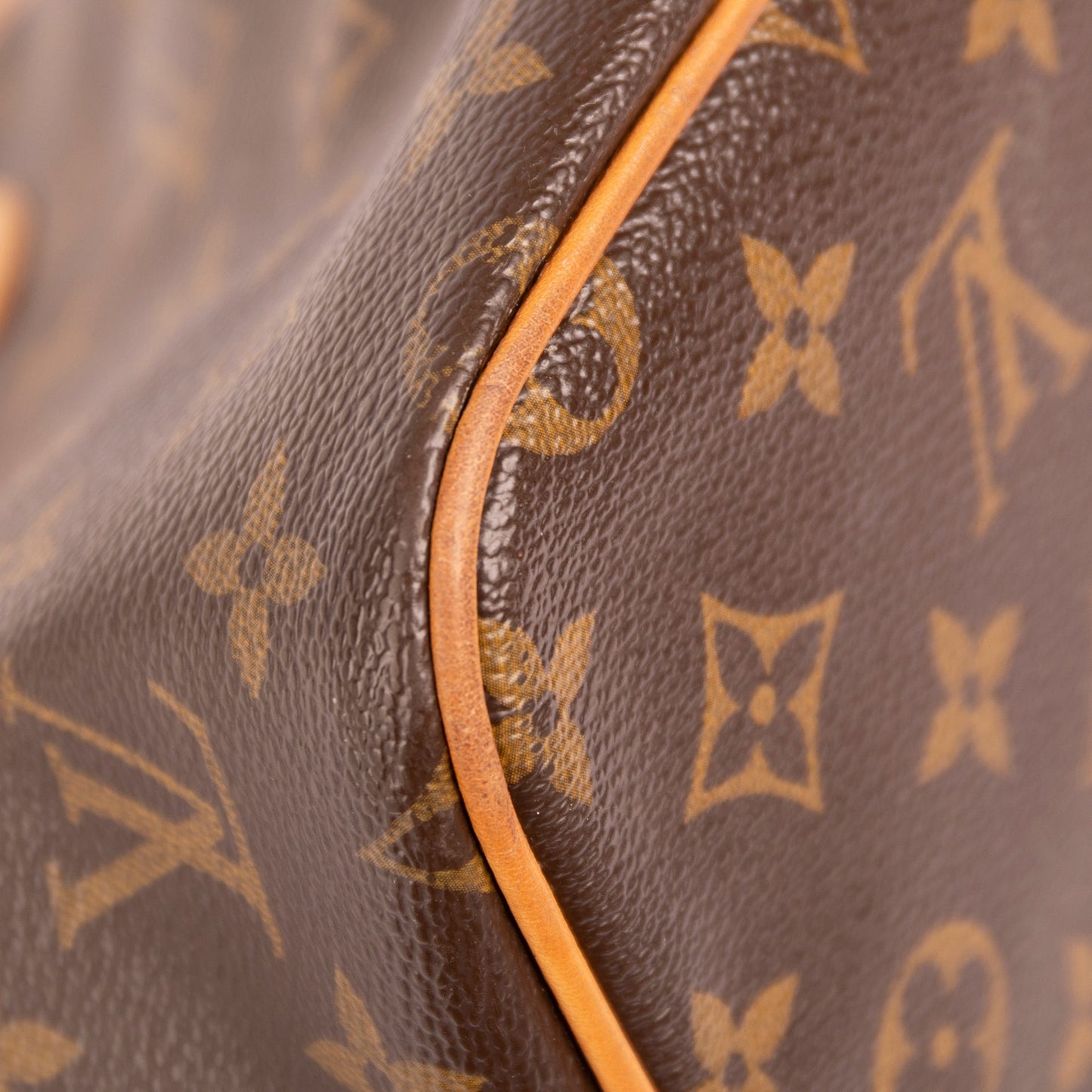 Louis Vuitton Monogram Palermo PM
