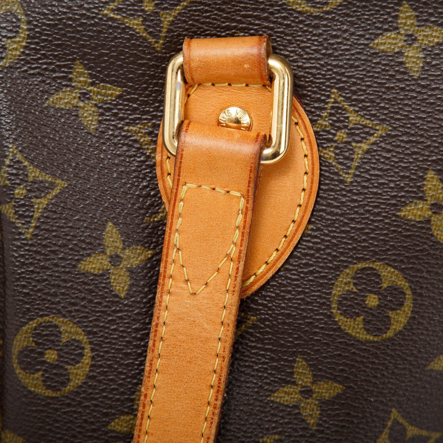 Louis Vuitton Monogram Palermo PM