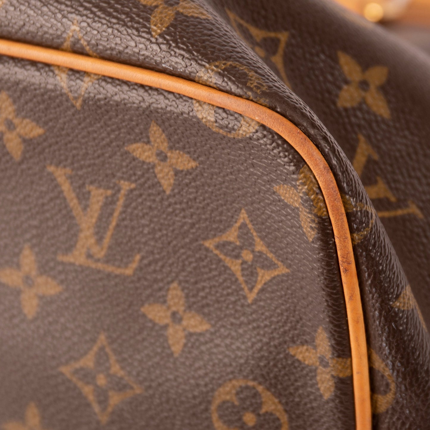 Louis Vuitton Monogram Palermo PM