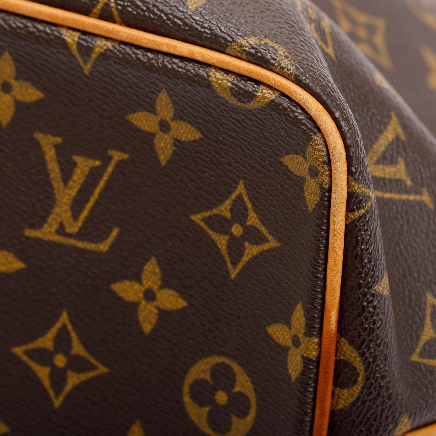 Louis Vuitton Monogram Palermo PM