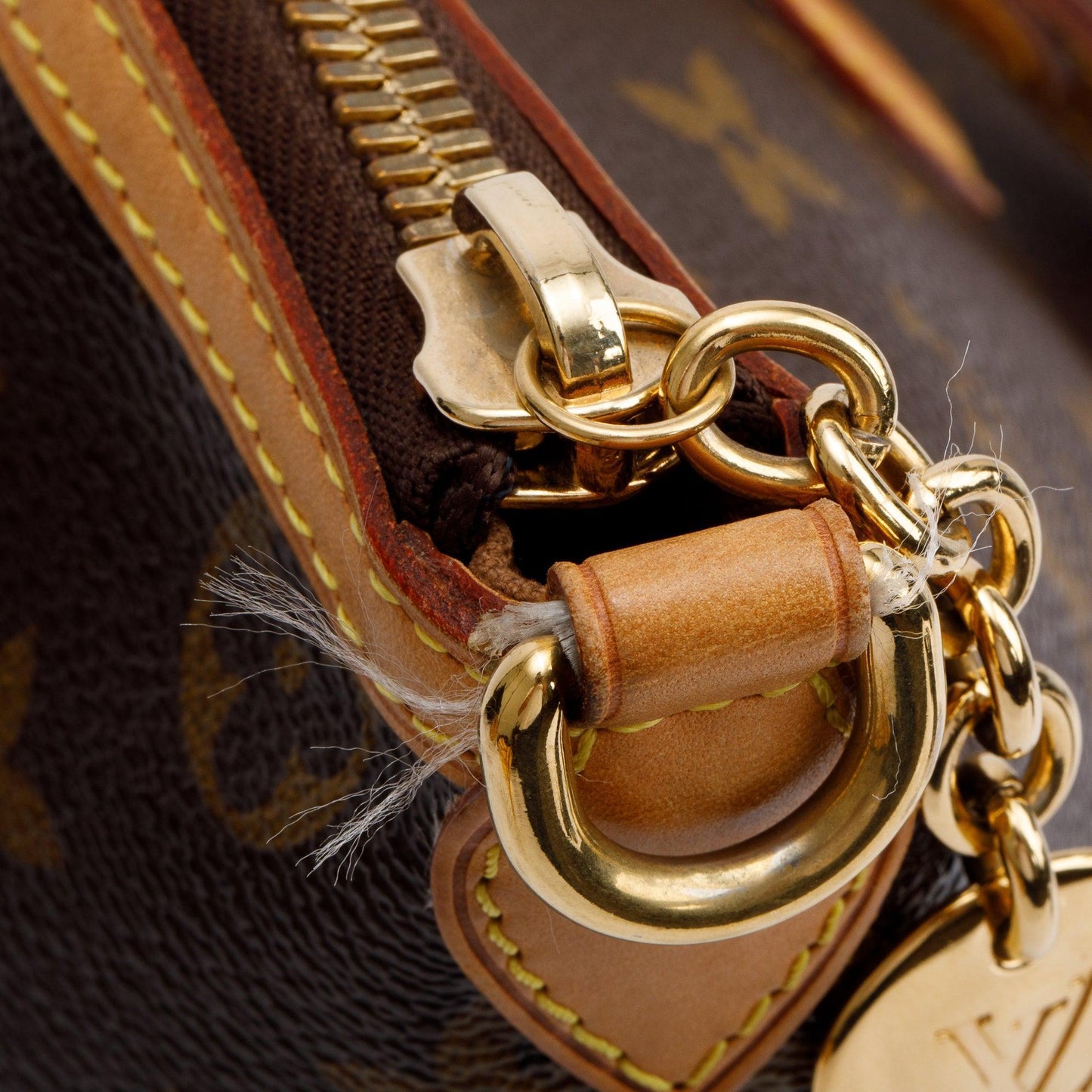 Louis Vuitton Monogram Palermo PM