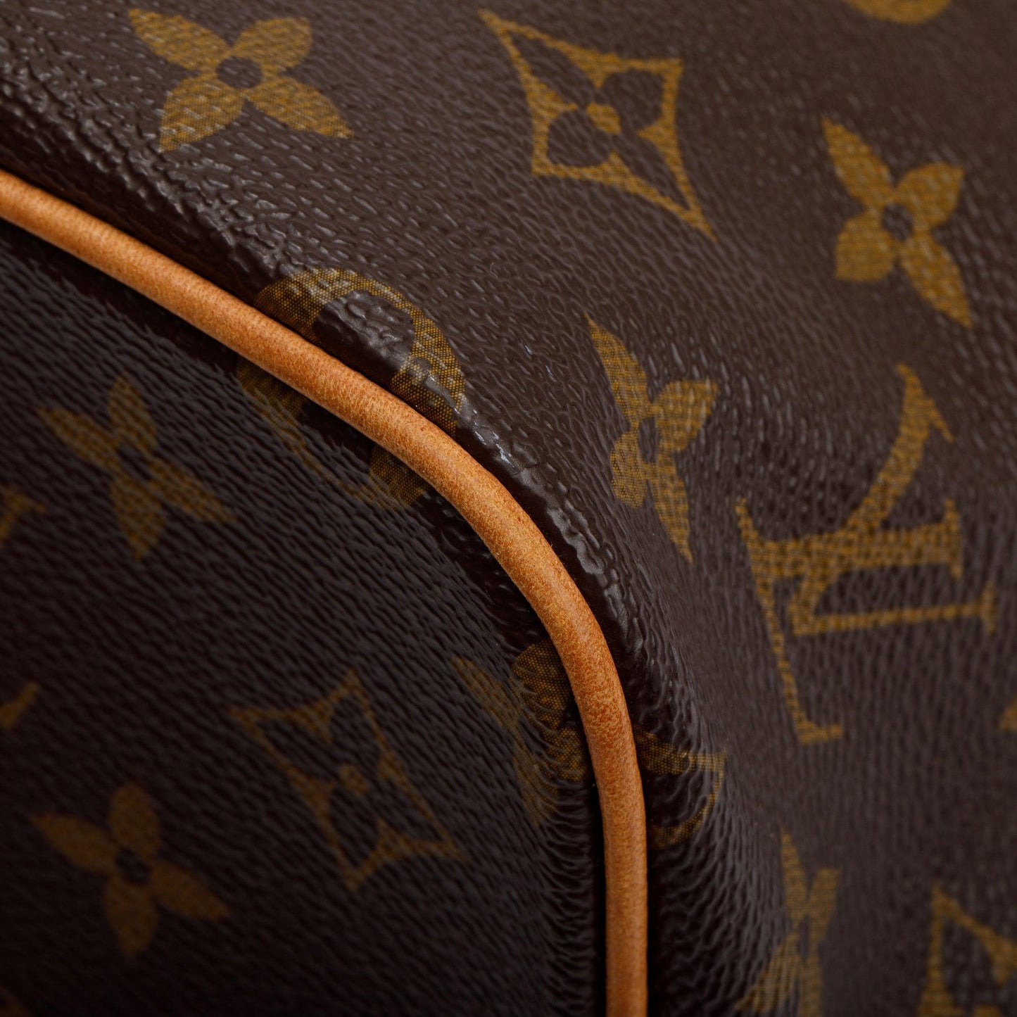 Louis Vuitton Monogram Palermo PM