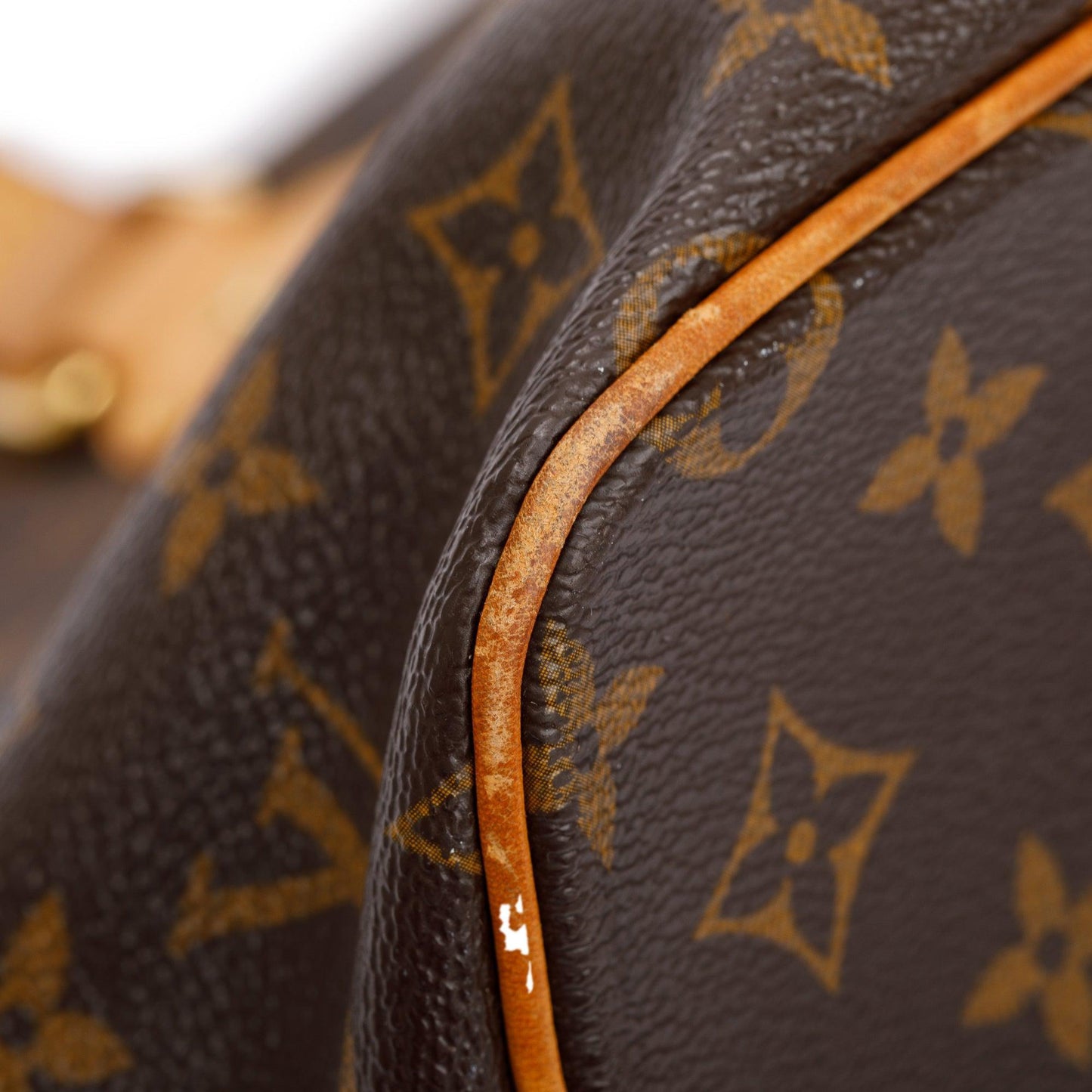 Louis Vuitton Monogram Palermo PM