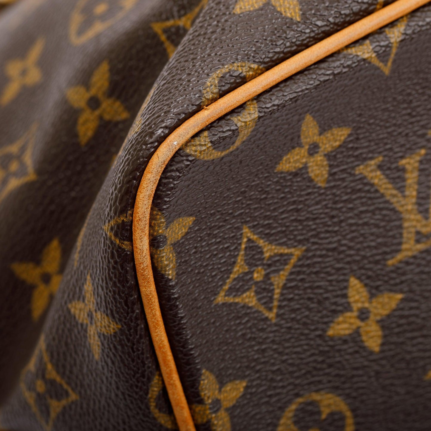 Louis Vuitton Monogram Palermo PM
