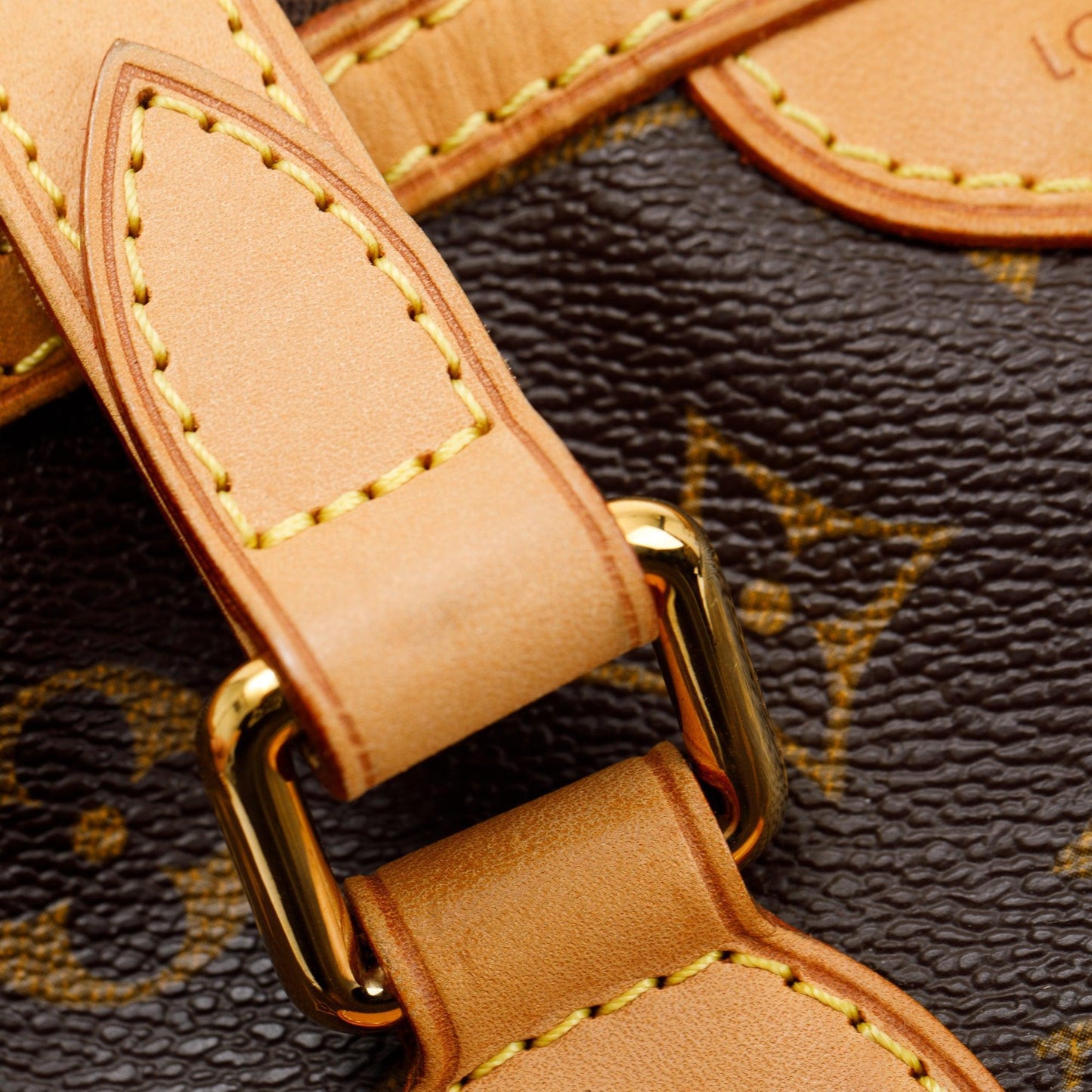 Louis Vuitton Monogram Palermo PM