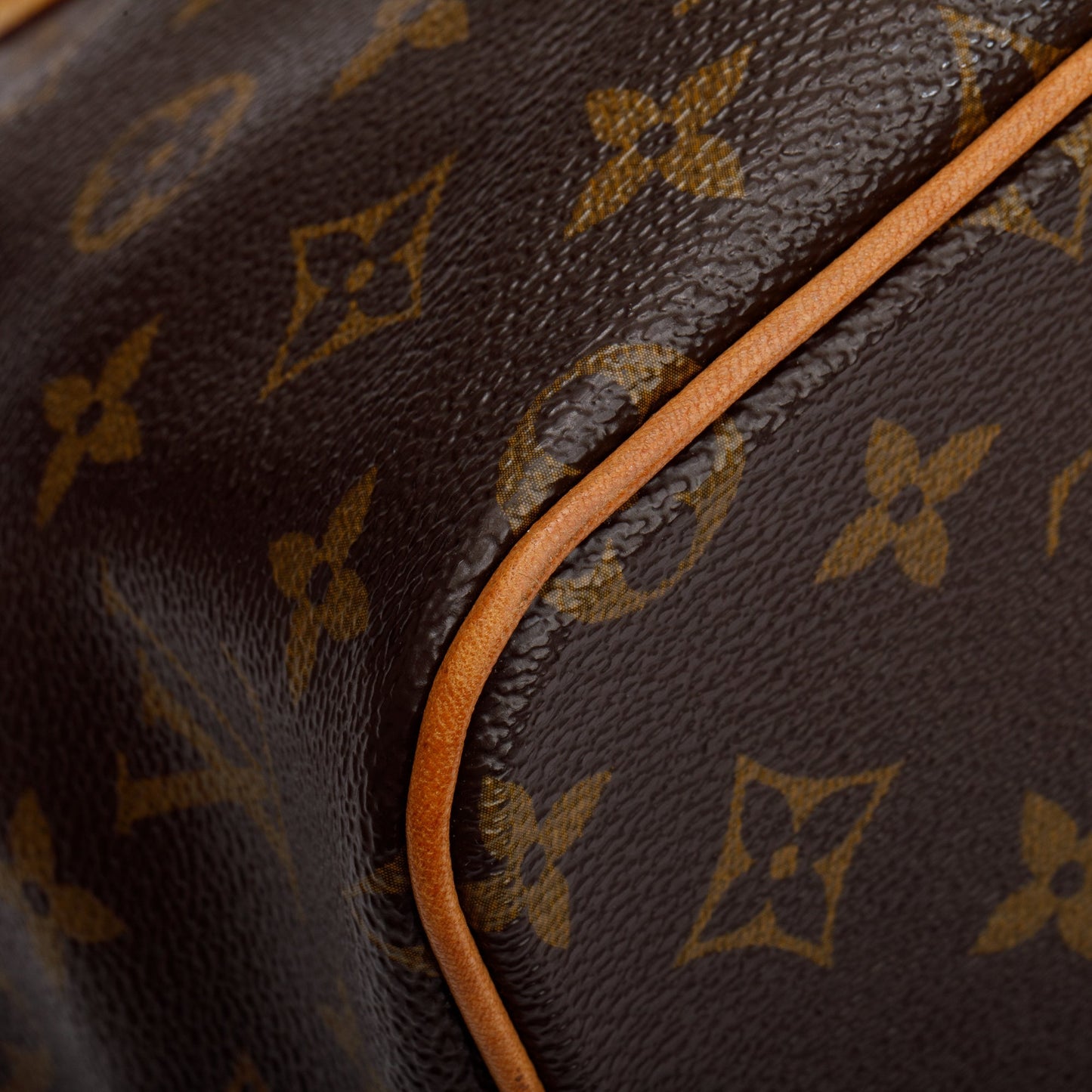 Louis Vuitton Monogram Palermo PM