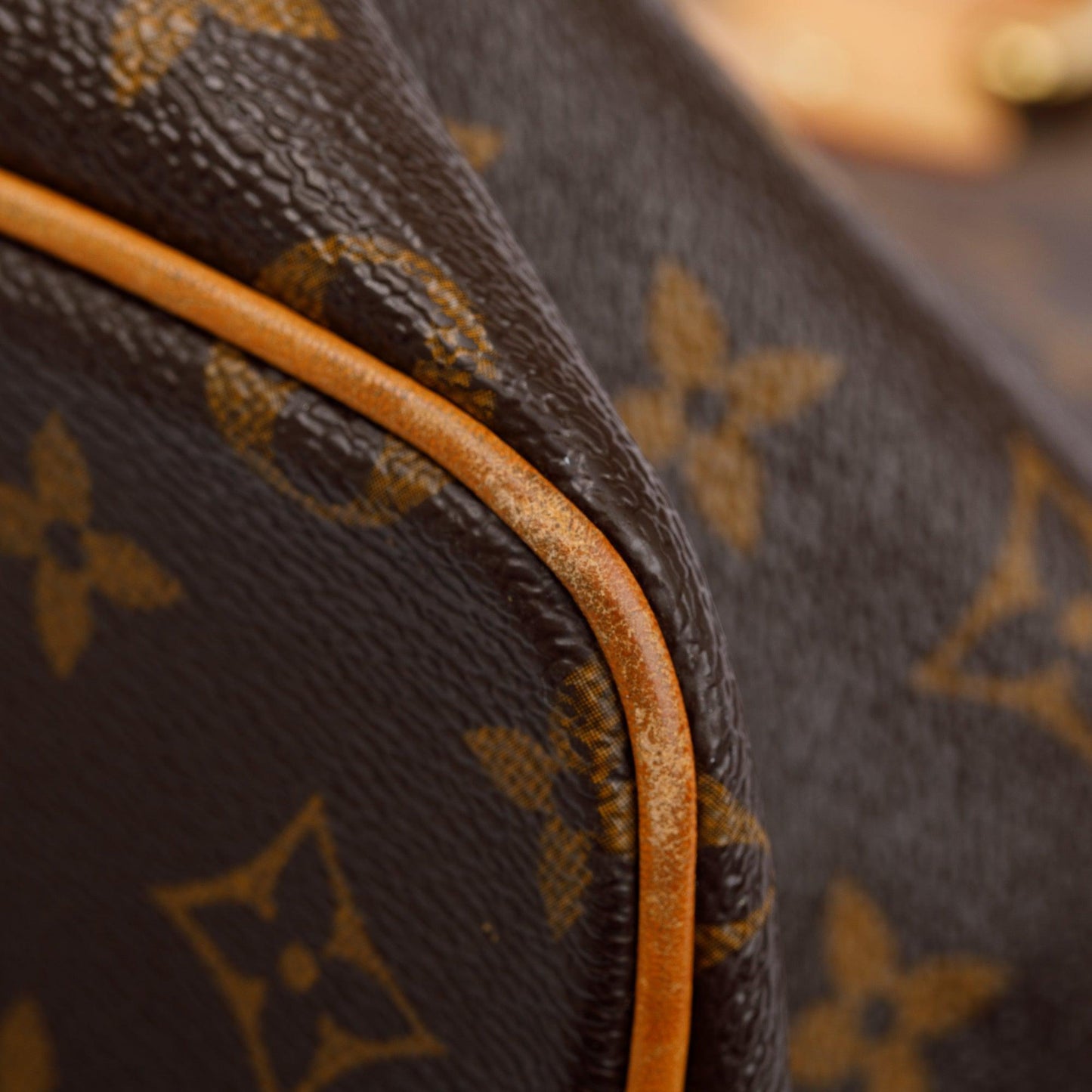 Louis Vuitton Monogram Palermo PM
