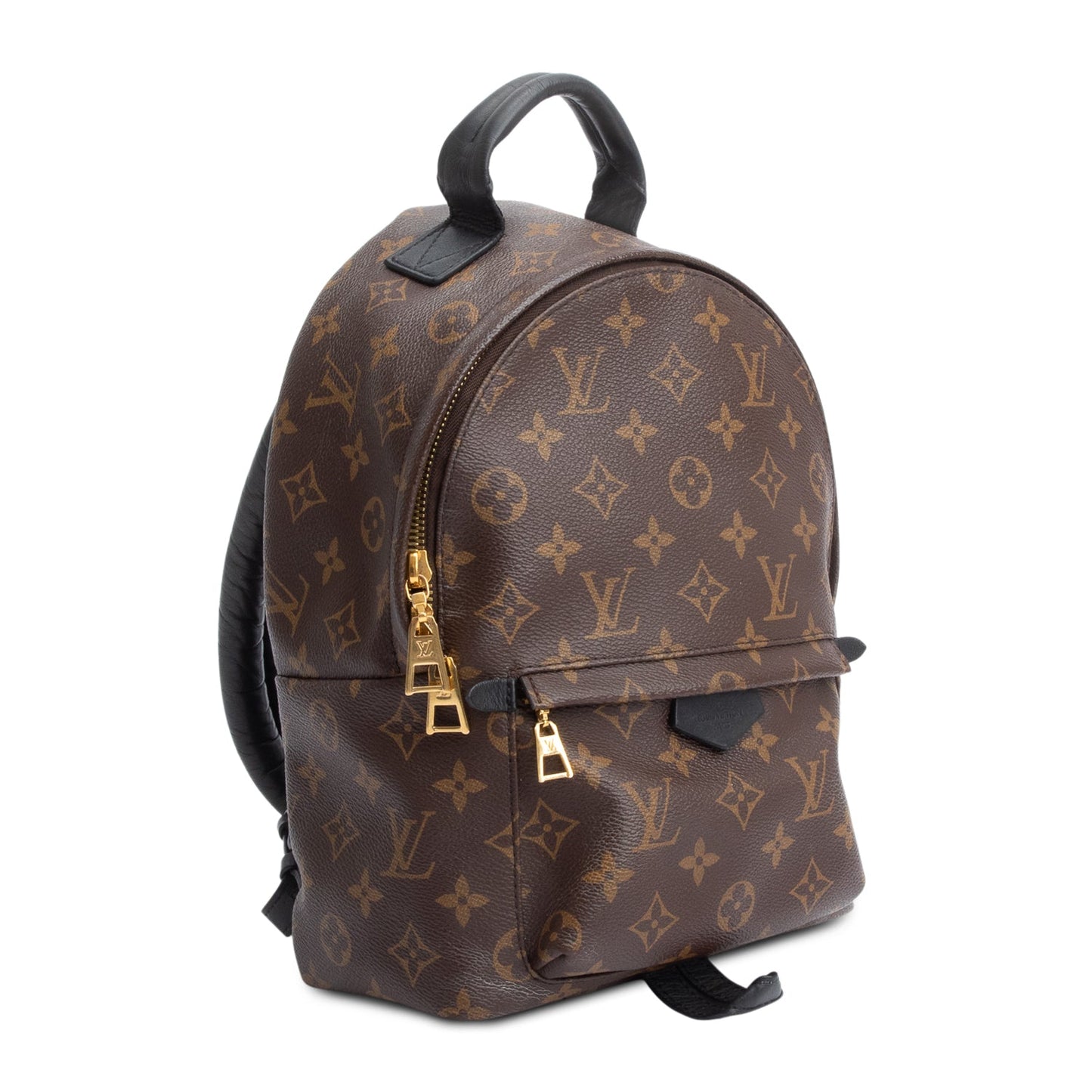 Louis Vuitton Monogram Palm Springs Backpack PM