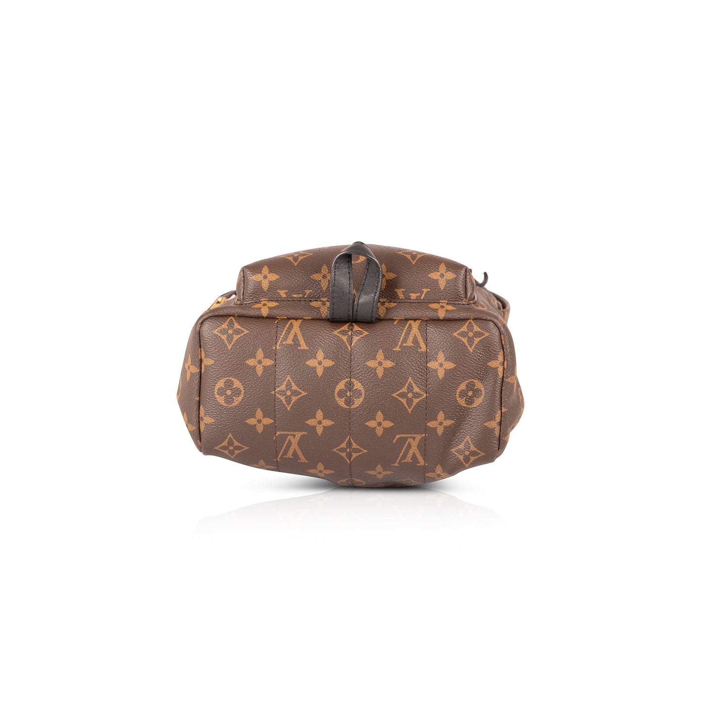 Louis Vuitton Monogram Palm Springs Backpack PM