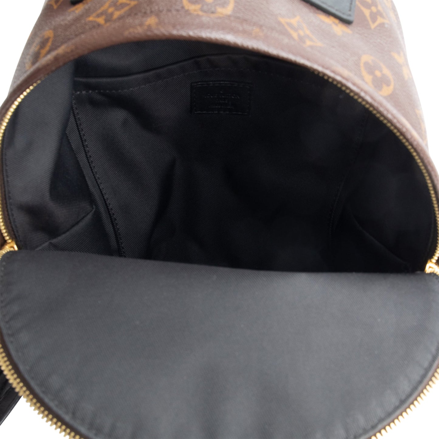 Louis Vuitton Monogram Palm Springs Backpack PM