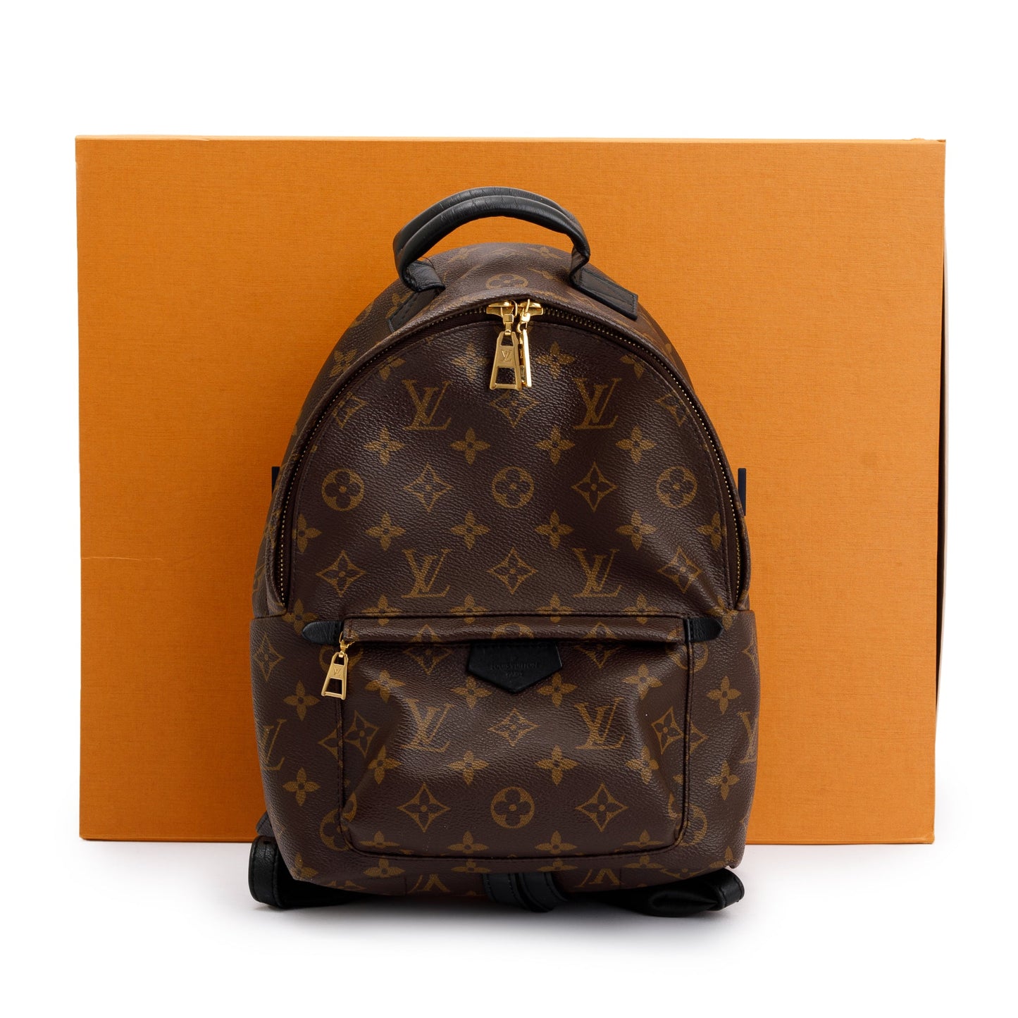 Louis Vuitton Monogram Palm Springs Backpack PM