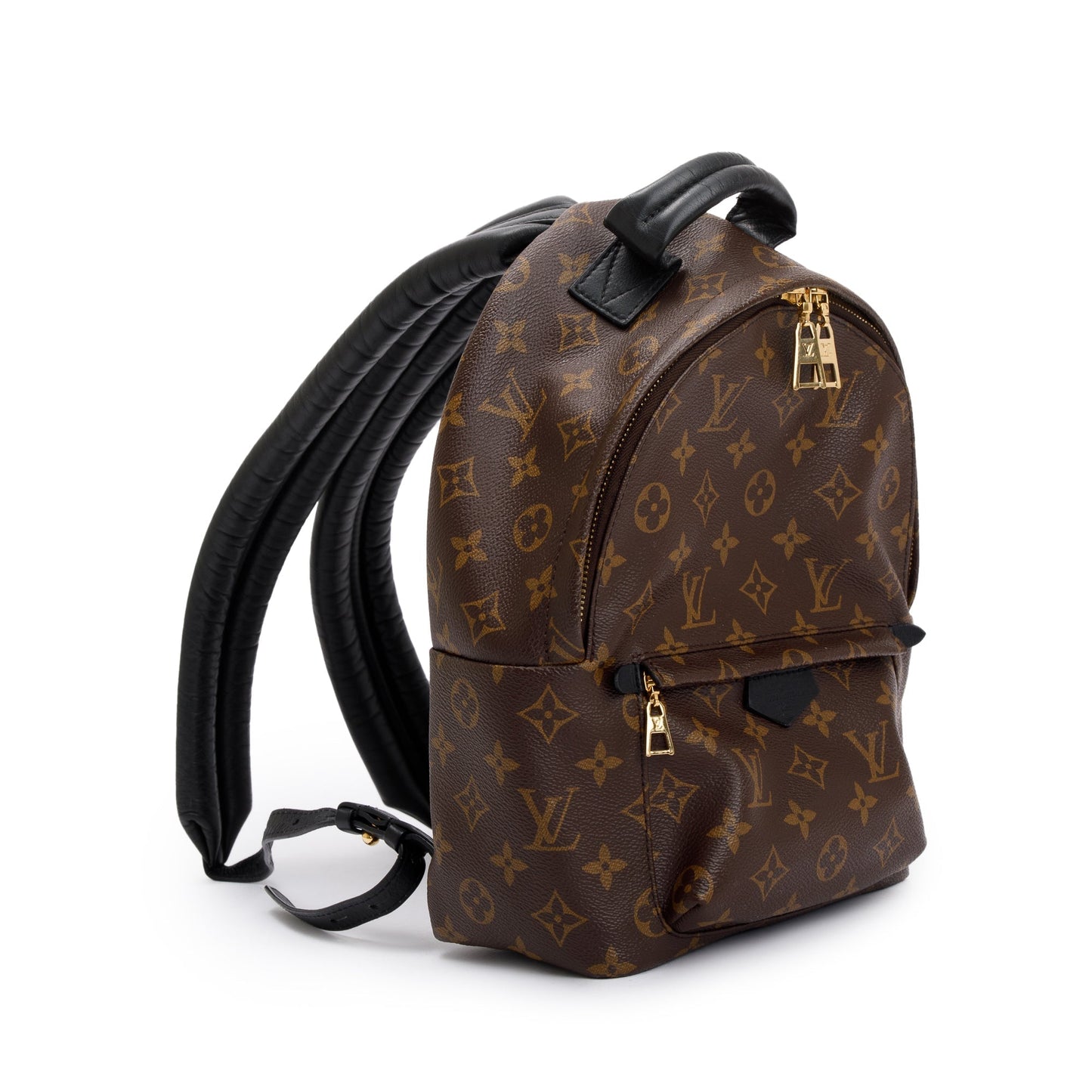 Louis Vuitton Monogram Palm Springs Backpack PM